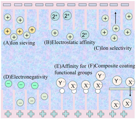 Selective Ion Separation by Capacitive Deionization: A