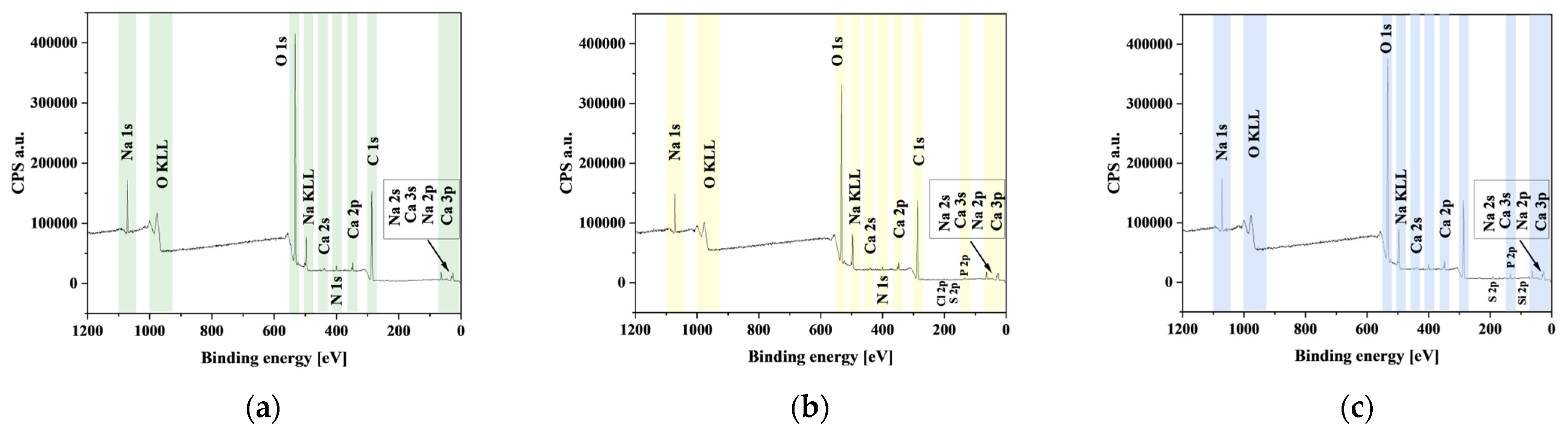 Materials 18 01114 g007