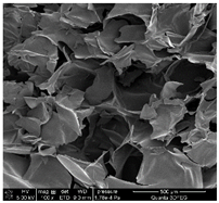 Materials 18 01114 i001