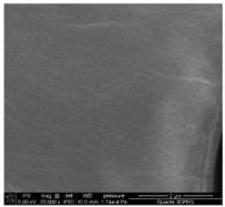 Materials 18 01114 i003