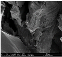 Materials 18 01114 i005