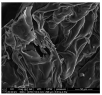 Materials 18 01114 i010