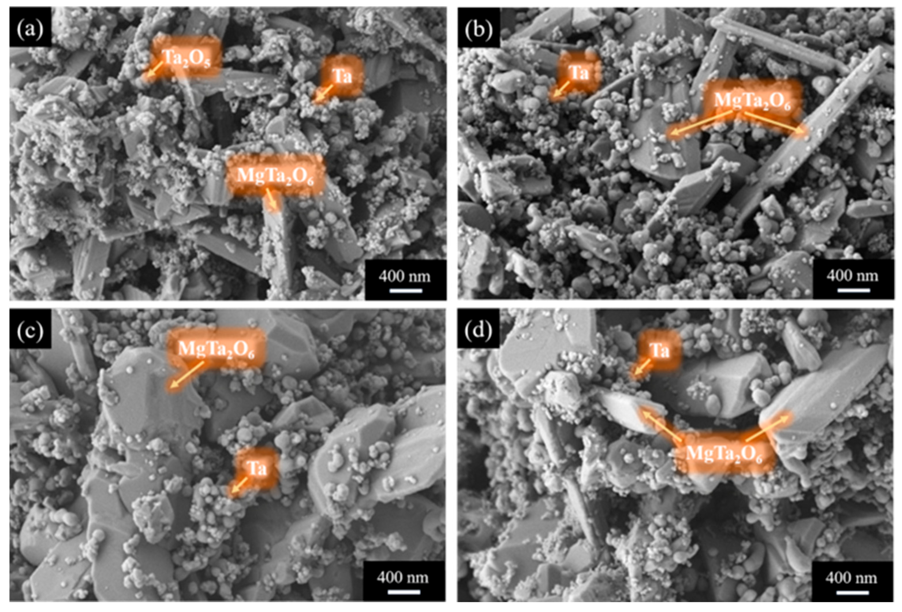 Materials 18 01115 g006