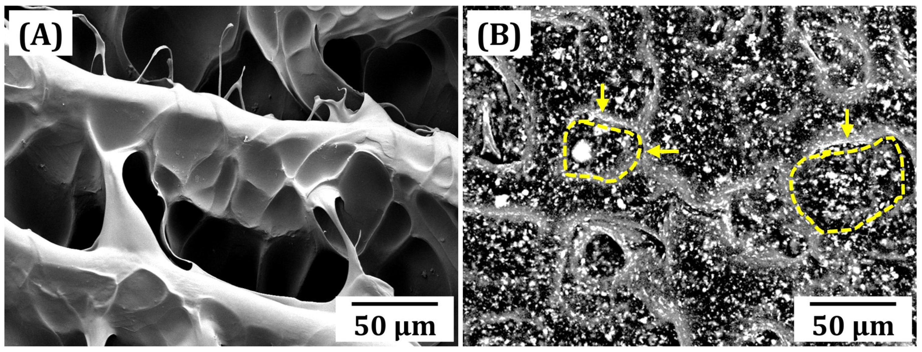 Materials 18 01125 g006