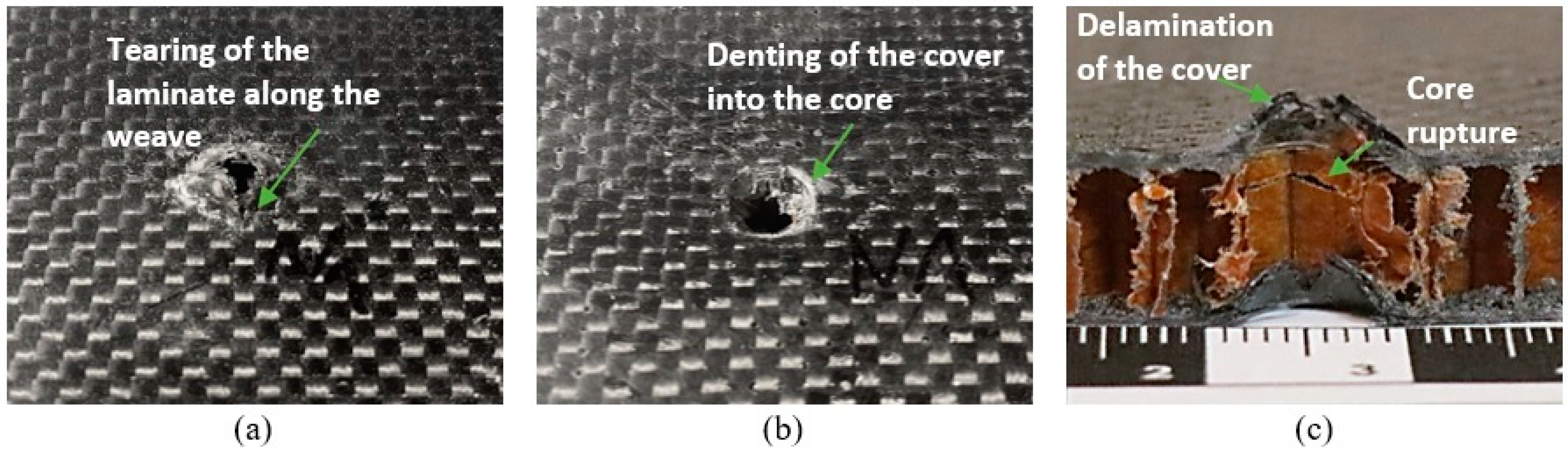 Materials 18 01126 g009