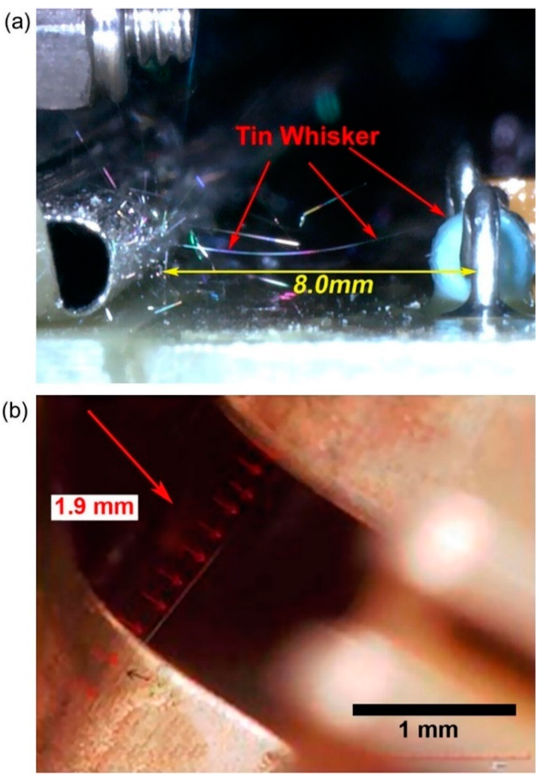 Materials 18 01130 g001