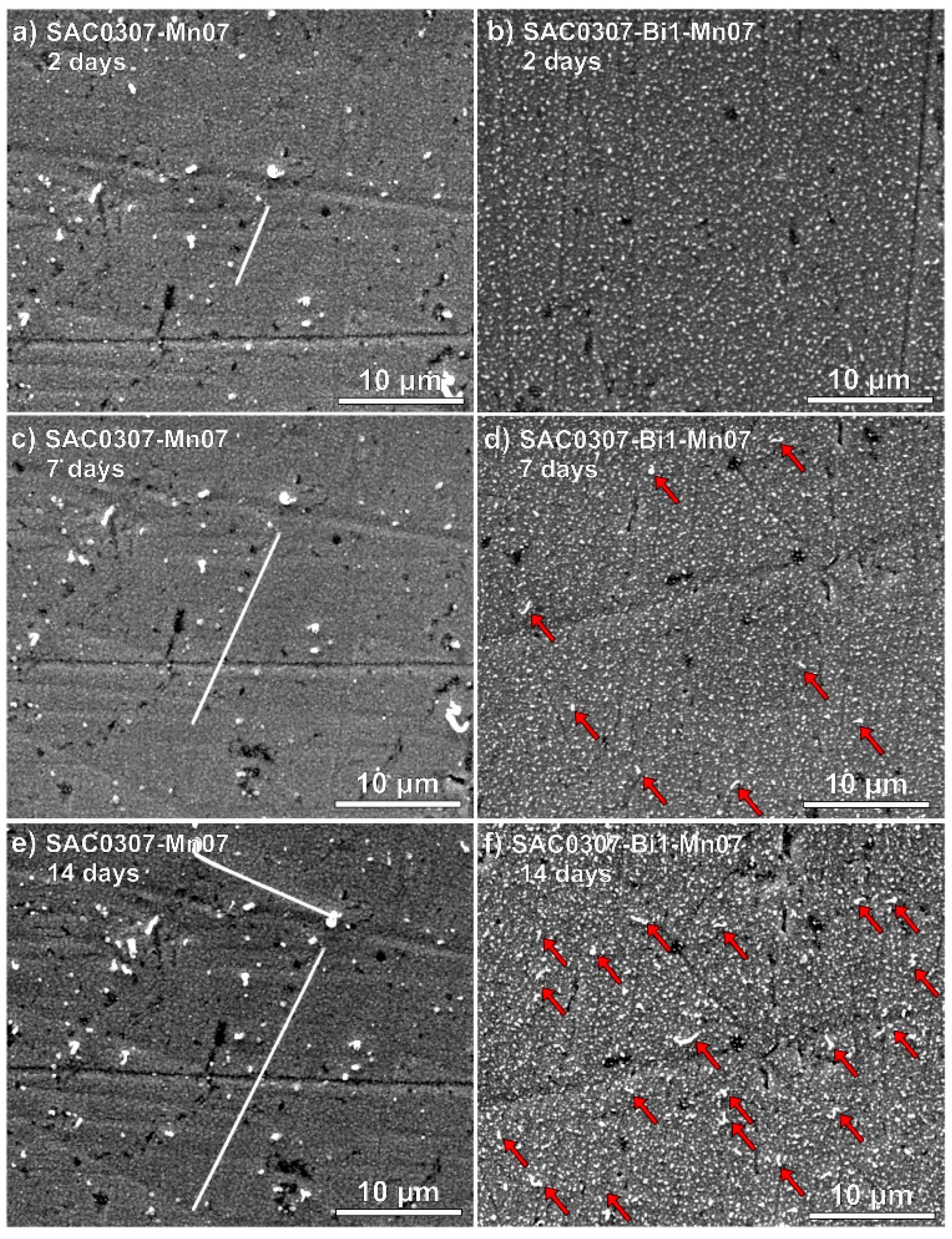 Materials 18 01130 g004