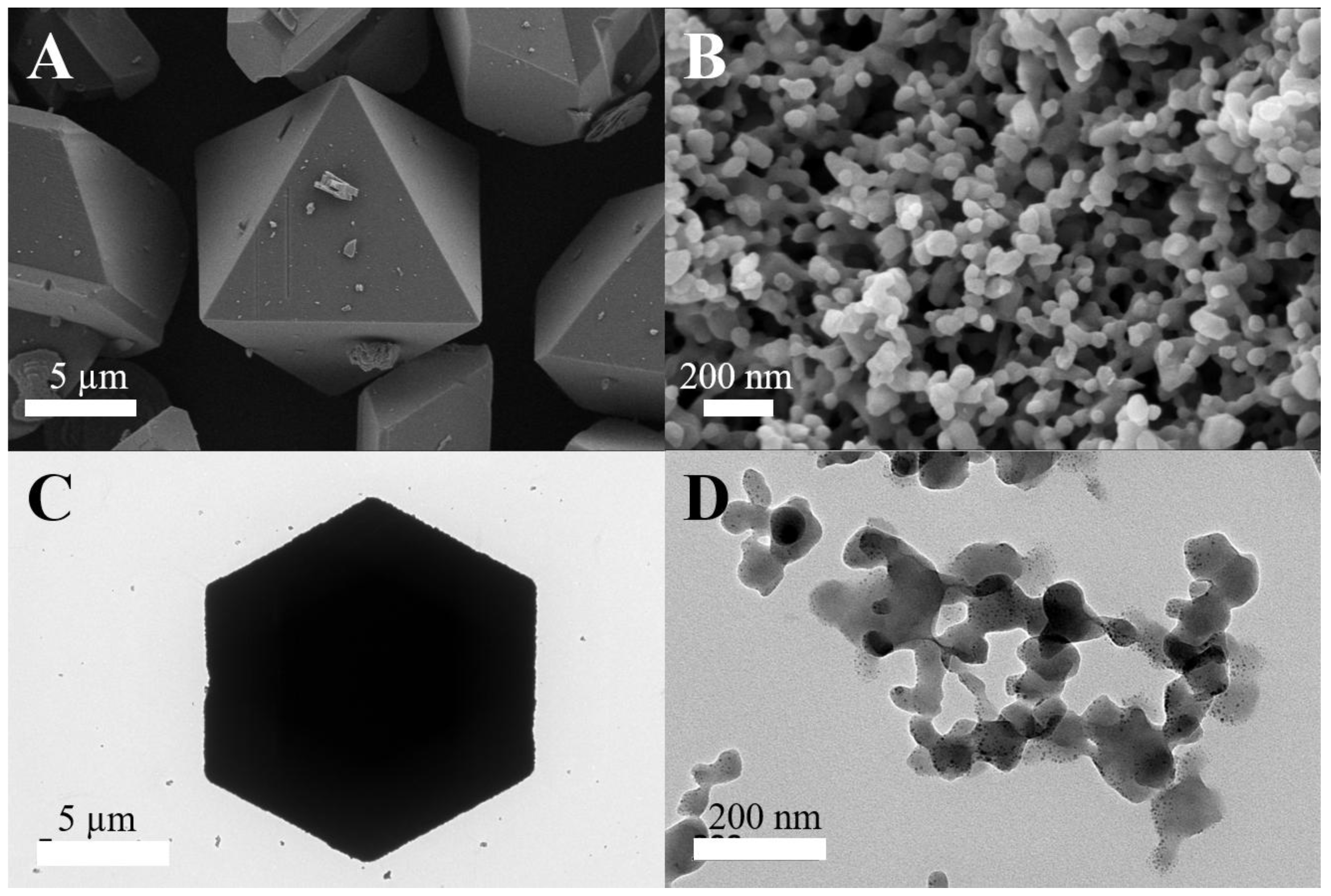 Materials 18 01131 g001