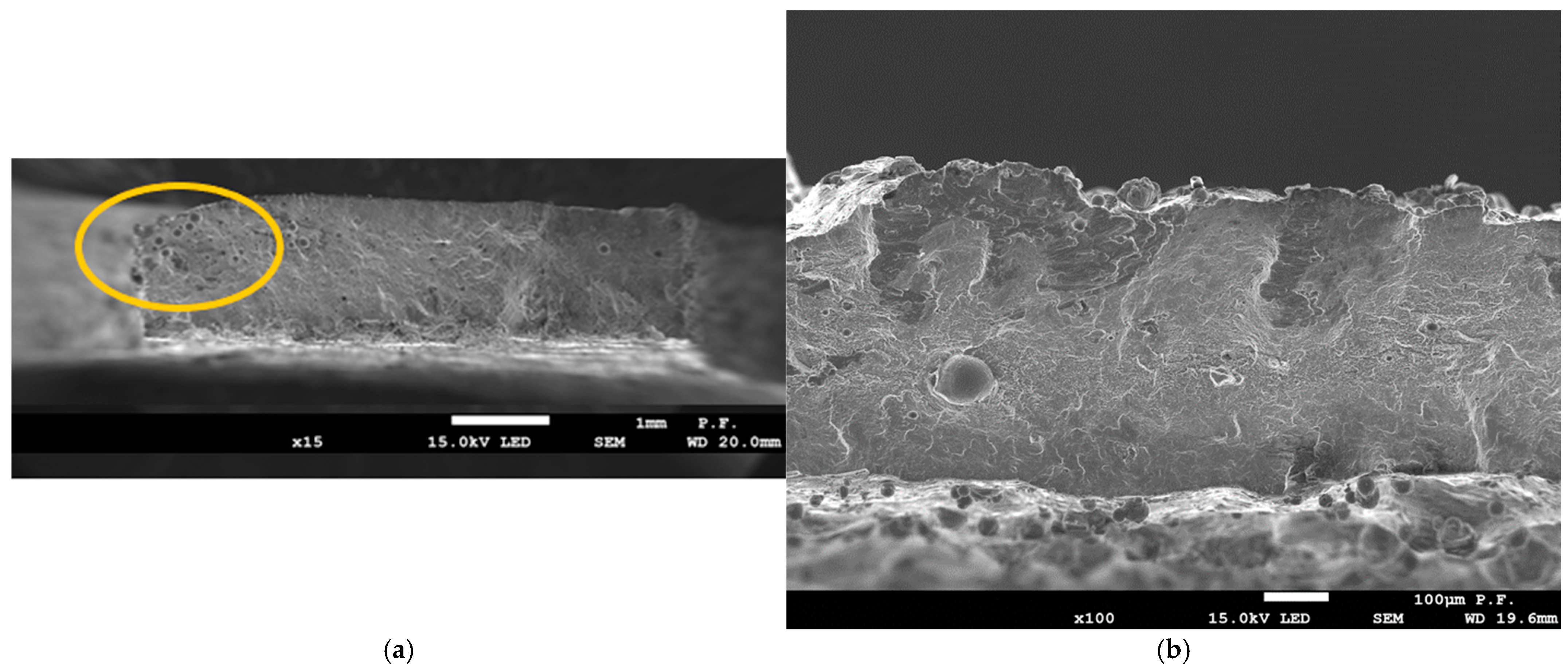 Materials 18 01134 g018a