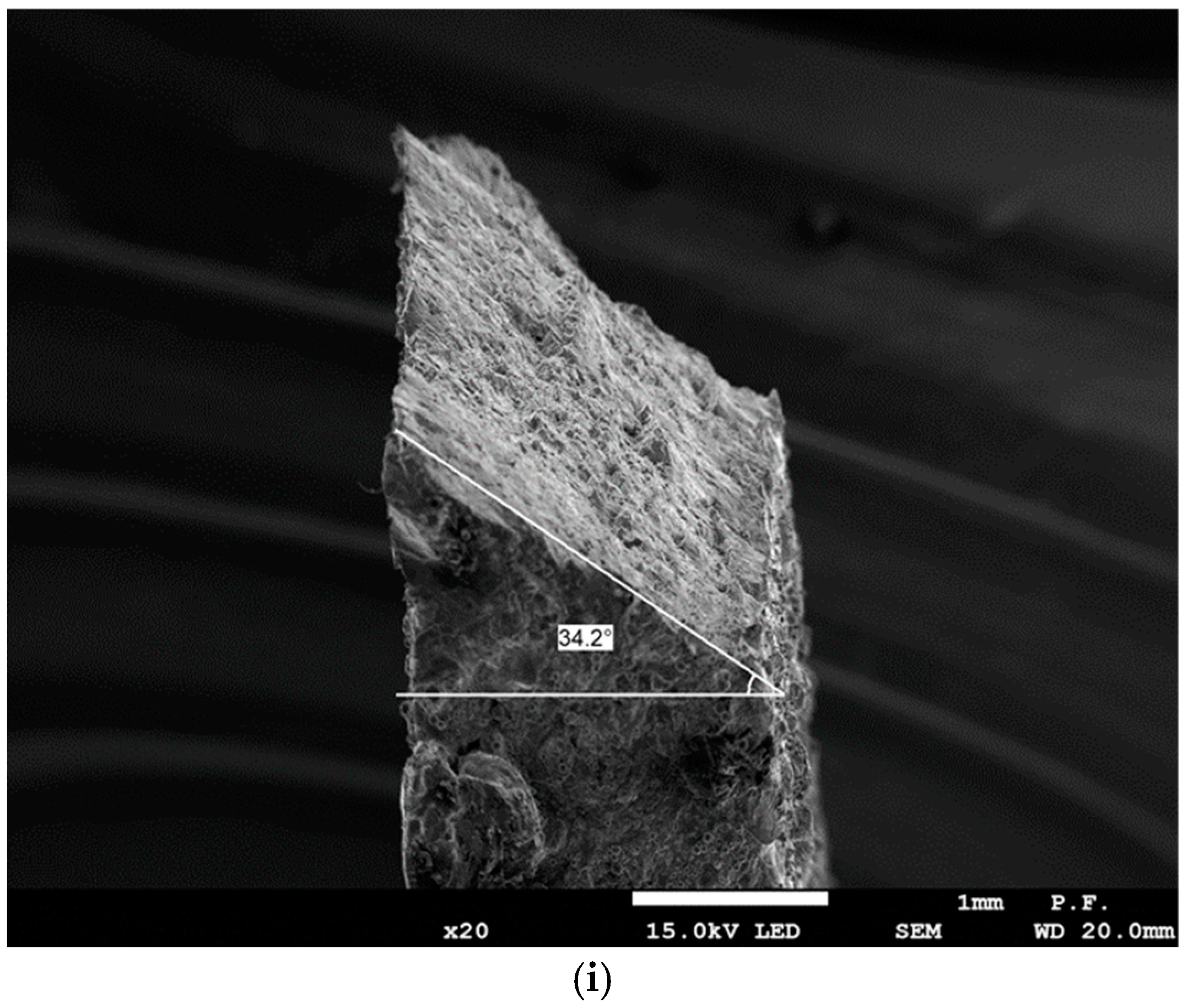 Materials 18 01134 g018c