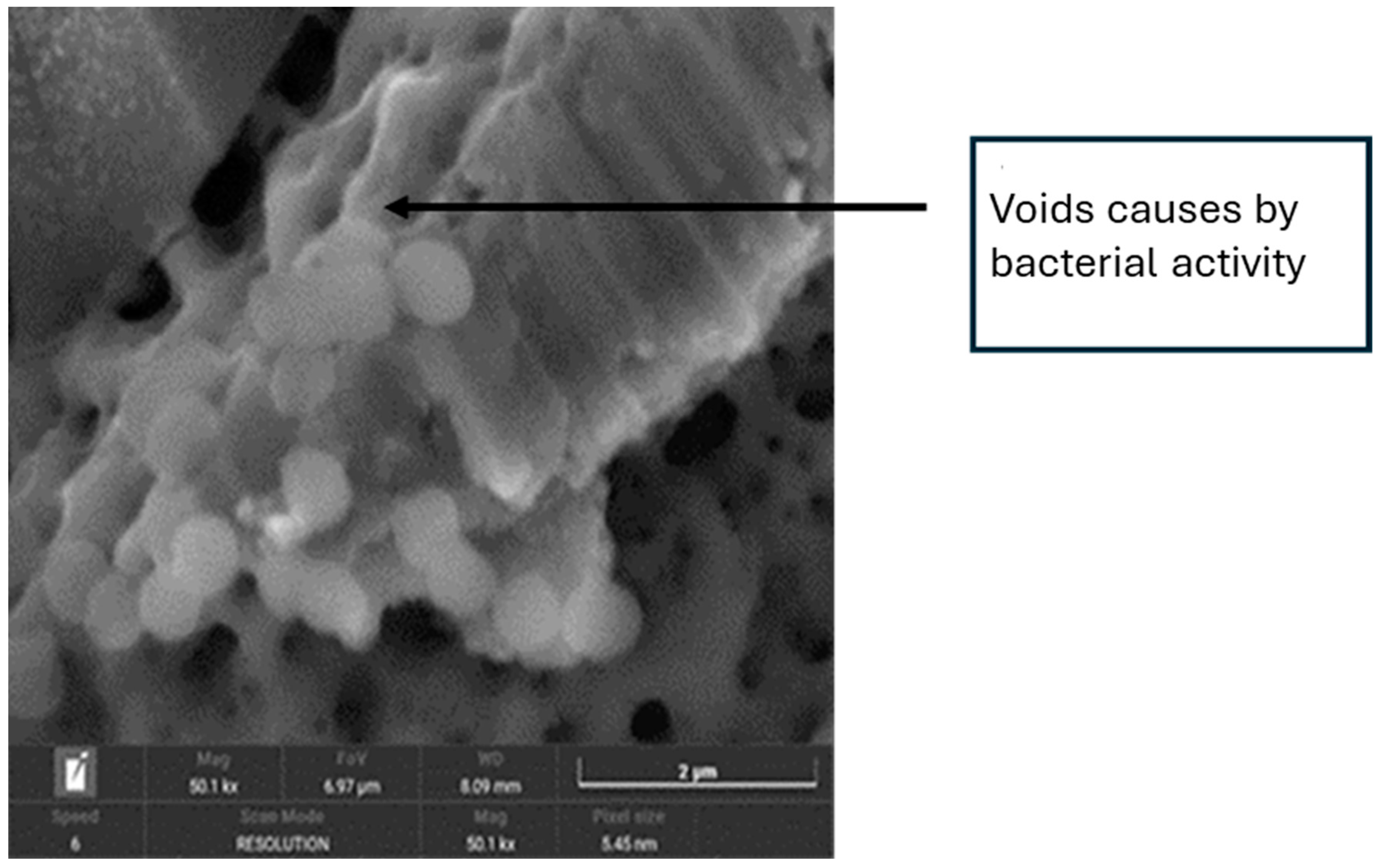 Materials 18 01136 g007