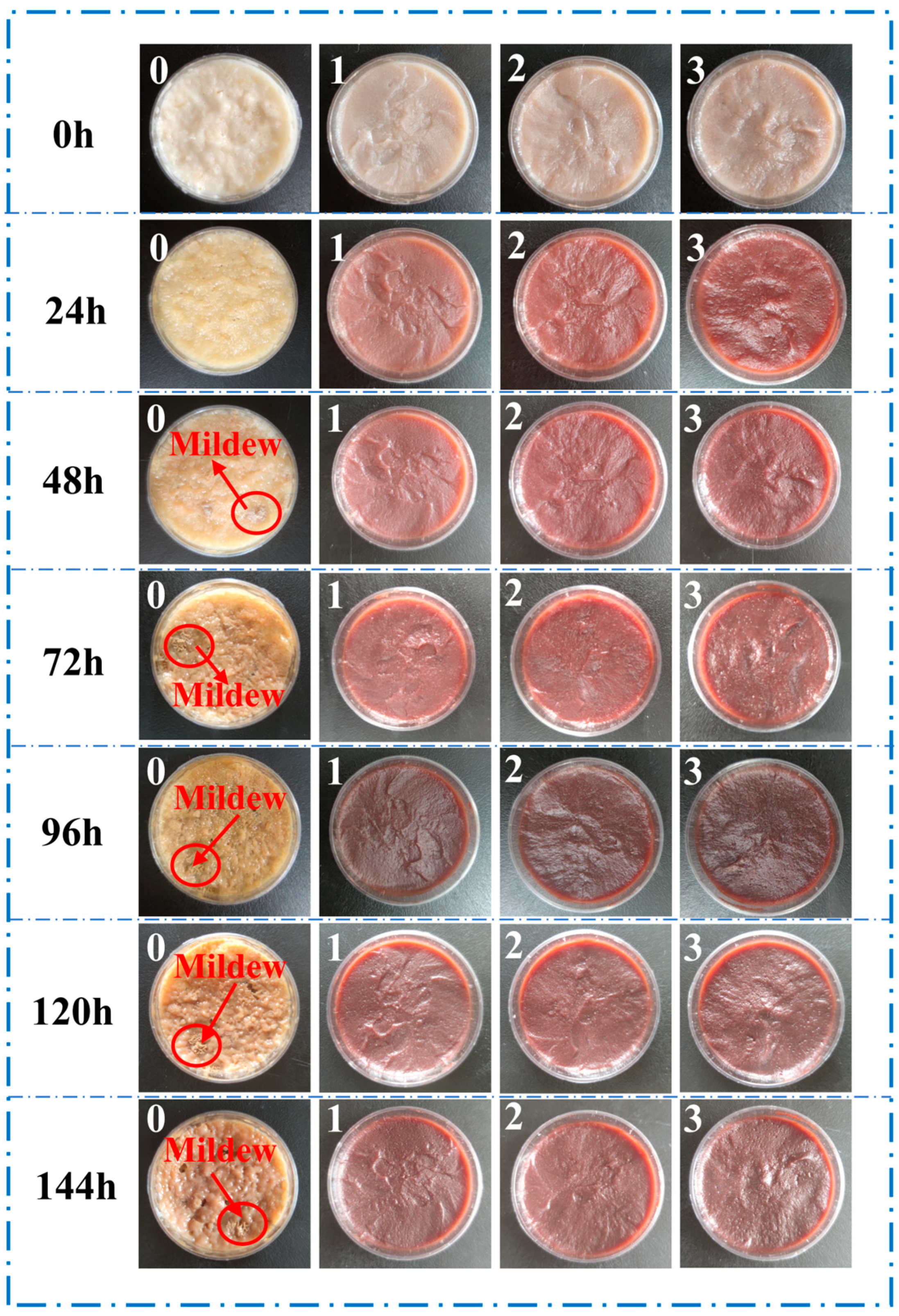 Materials 18 01144 g005
