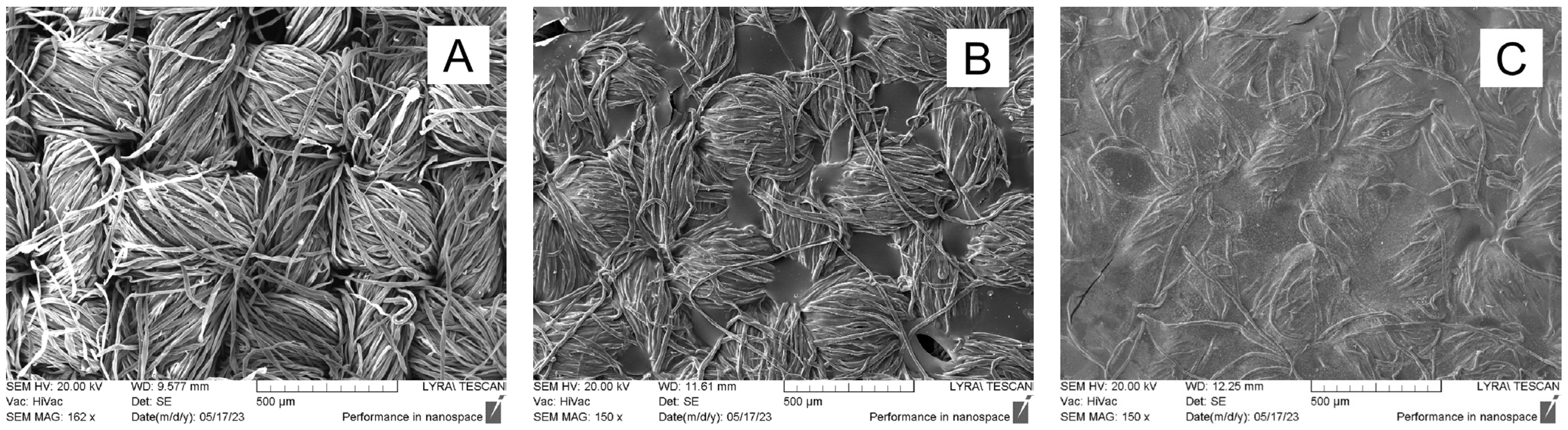 Materials 18 01146 g002