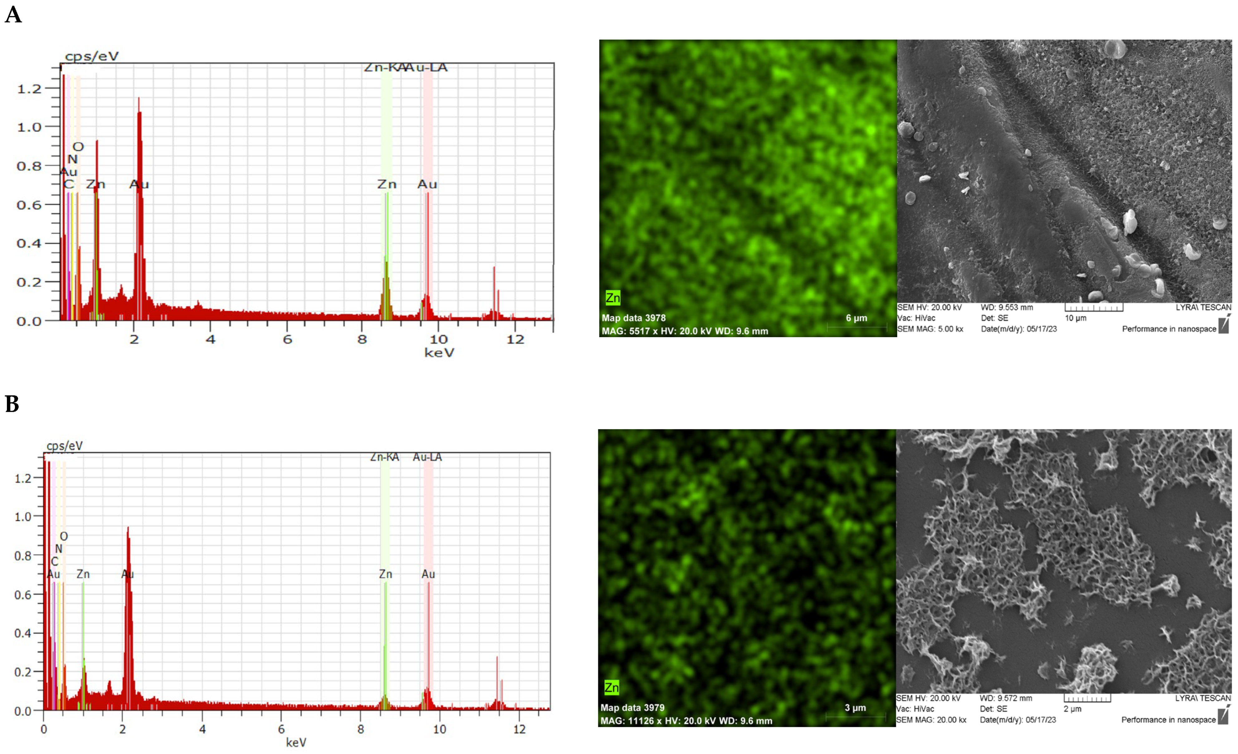 Materials 18 01146 g003