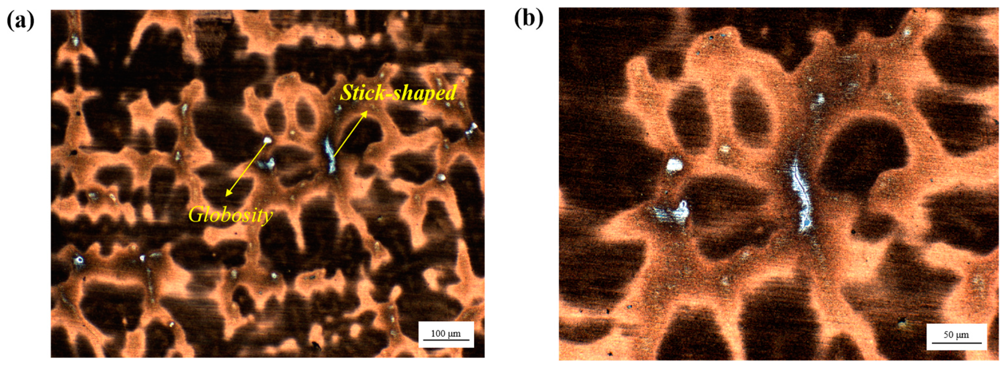 Materials 18 01156 g004