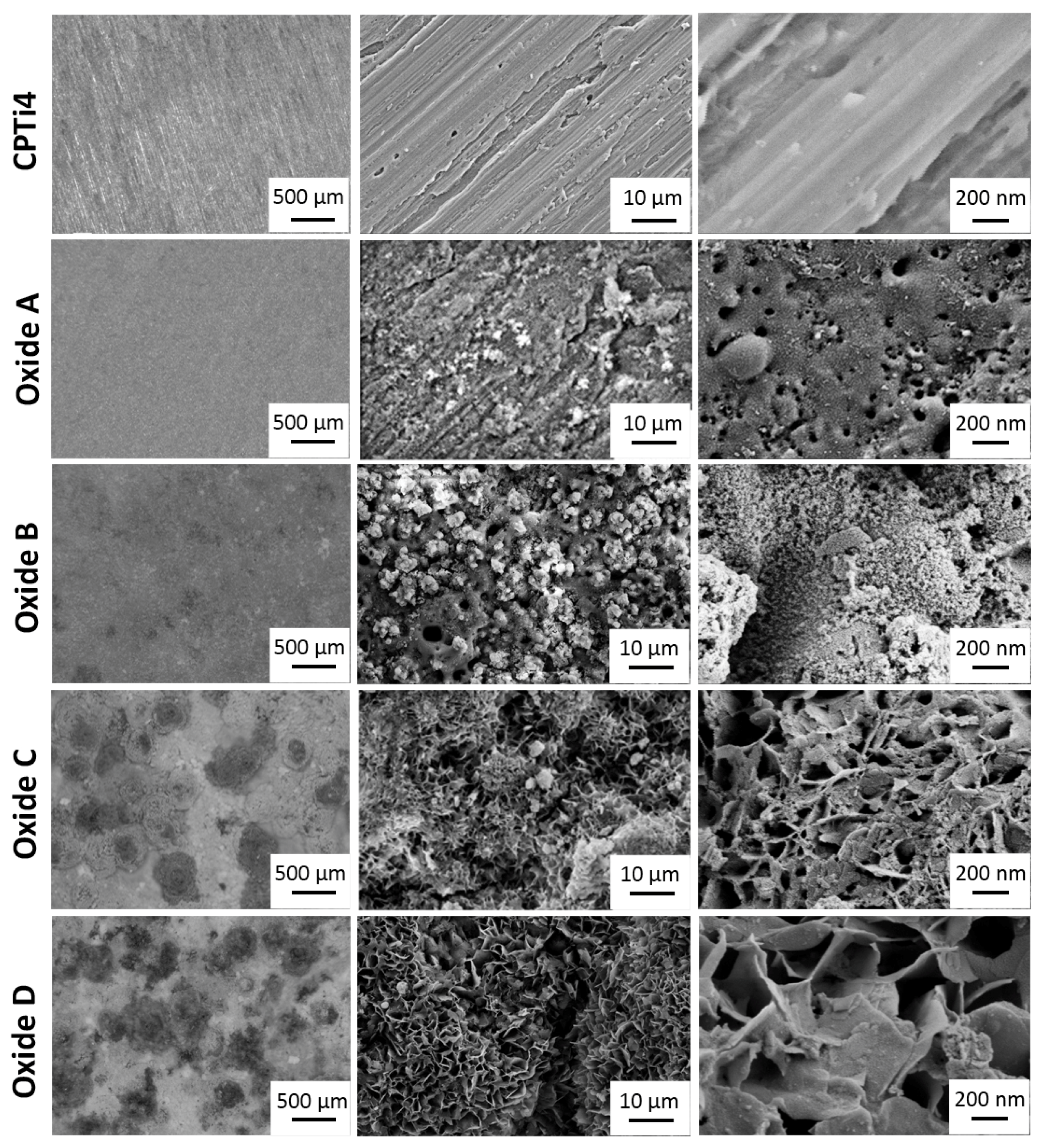 Materials 18 01163 g002