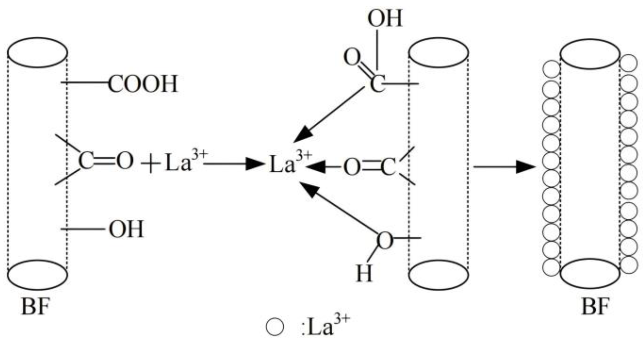 Materials 18 01164 g017