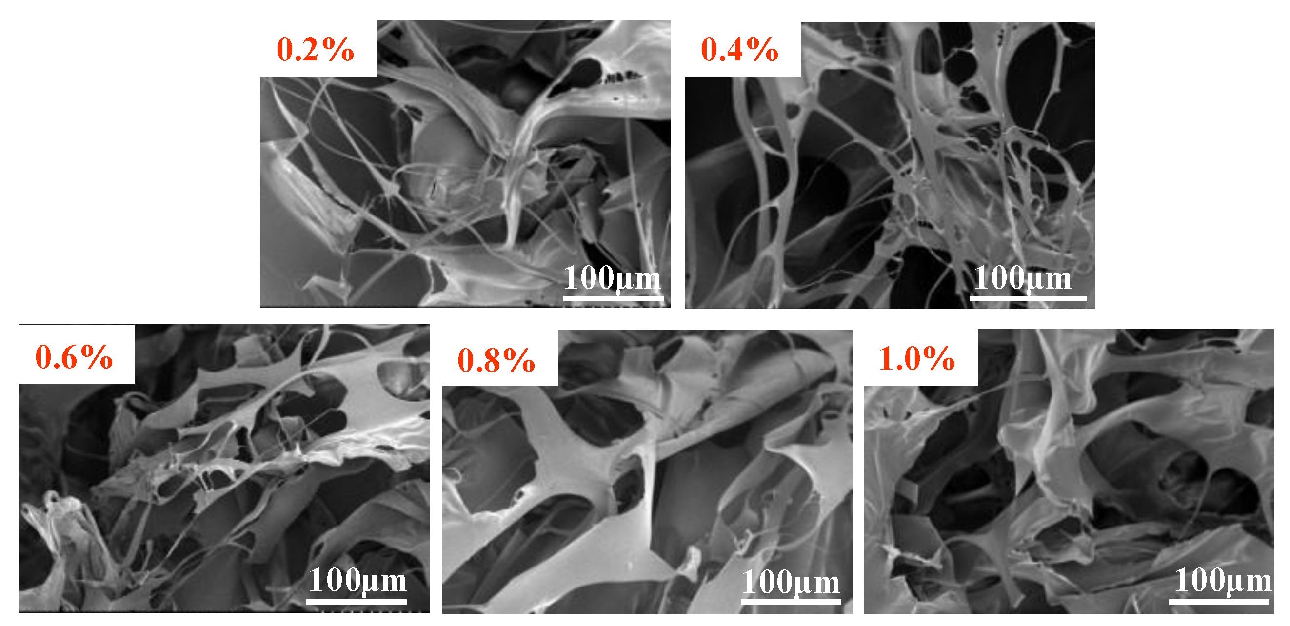 Materials 18 01171 g004