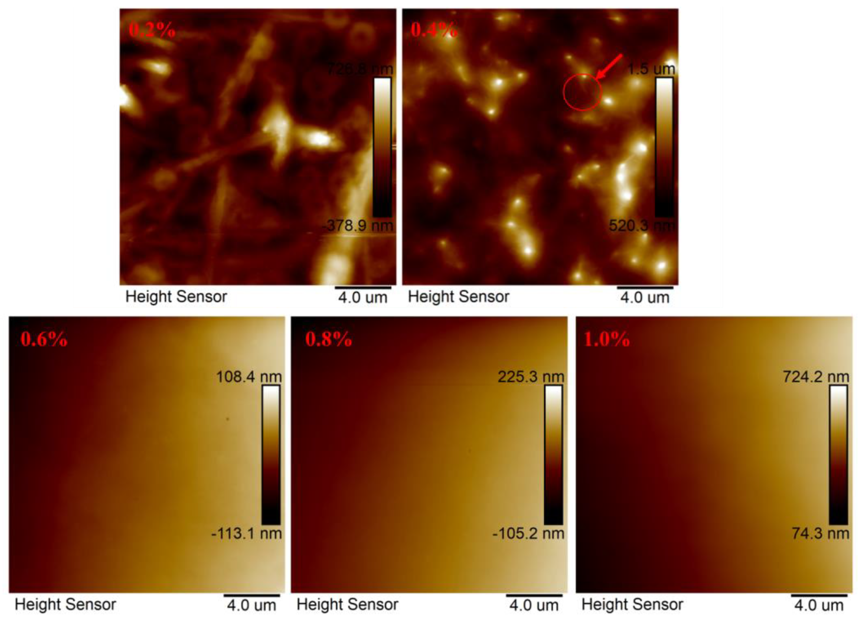 Materials 18 01171 g005