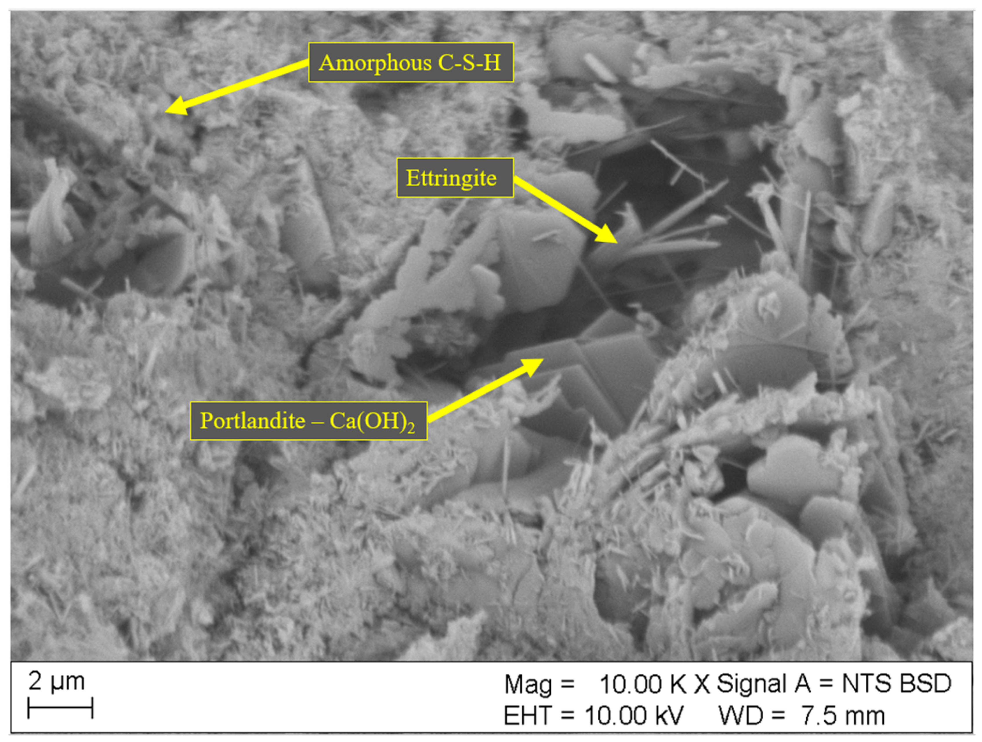 Materials 18 01176 g007