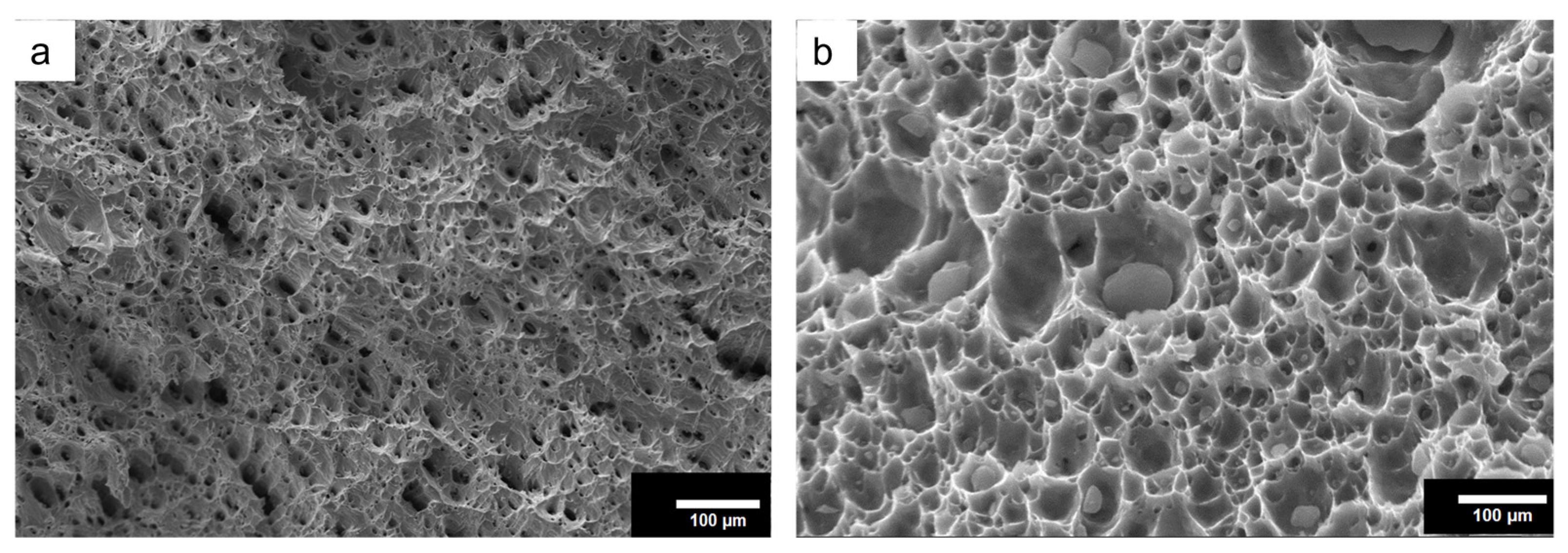 Materials 18 01179 g011 Materials 18 01179 g011