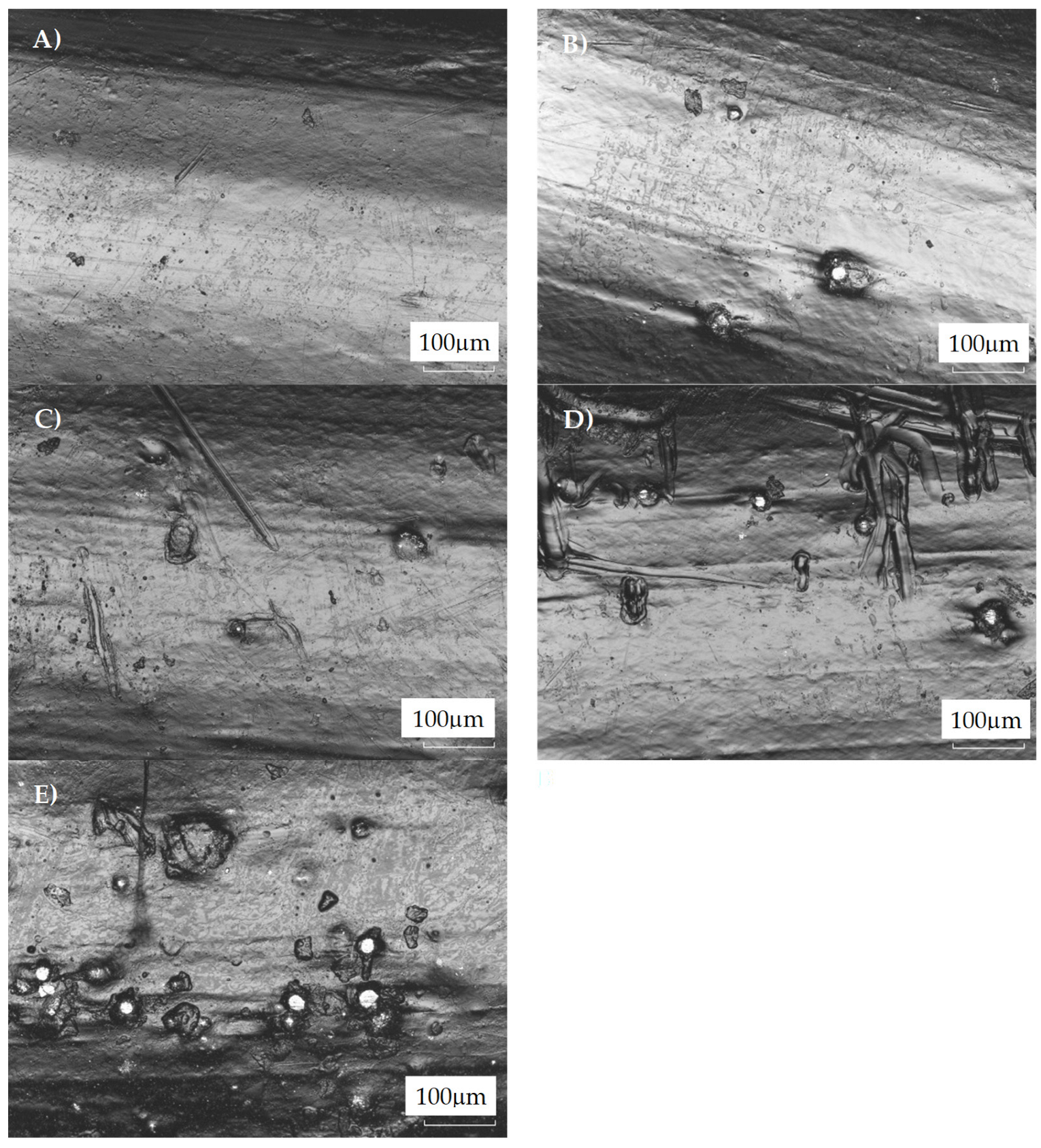 Materials 18 01203 g003
