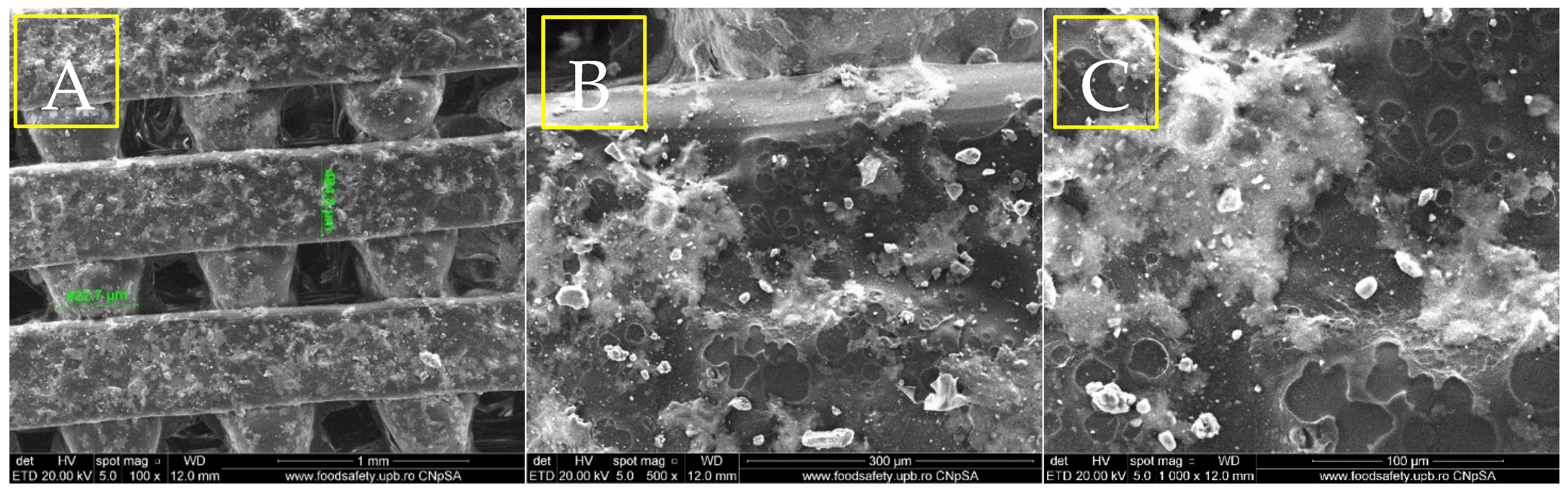 Materials 18 01206 g006 Materials 18 01206 g006