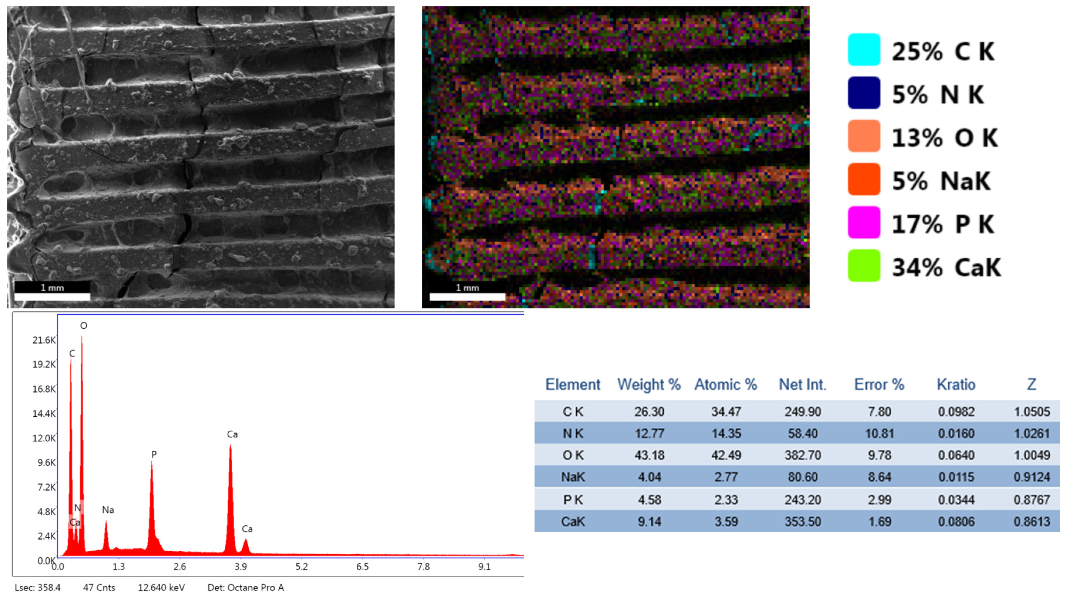 Materials 18 01206 g010 Materials 18 01206 g010