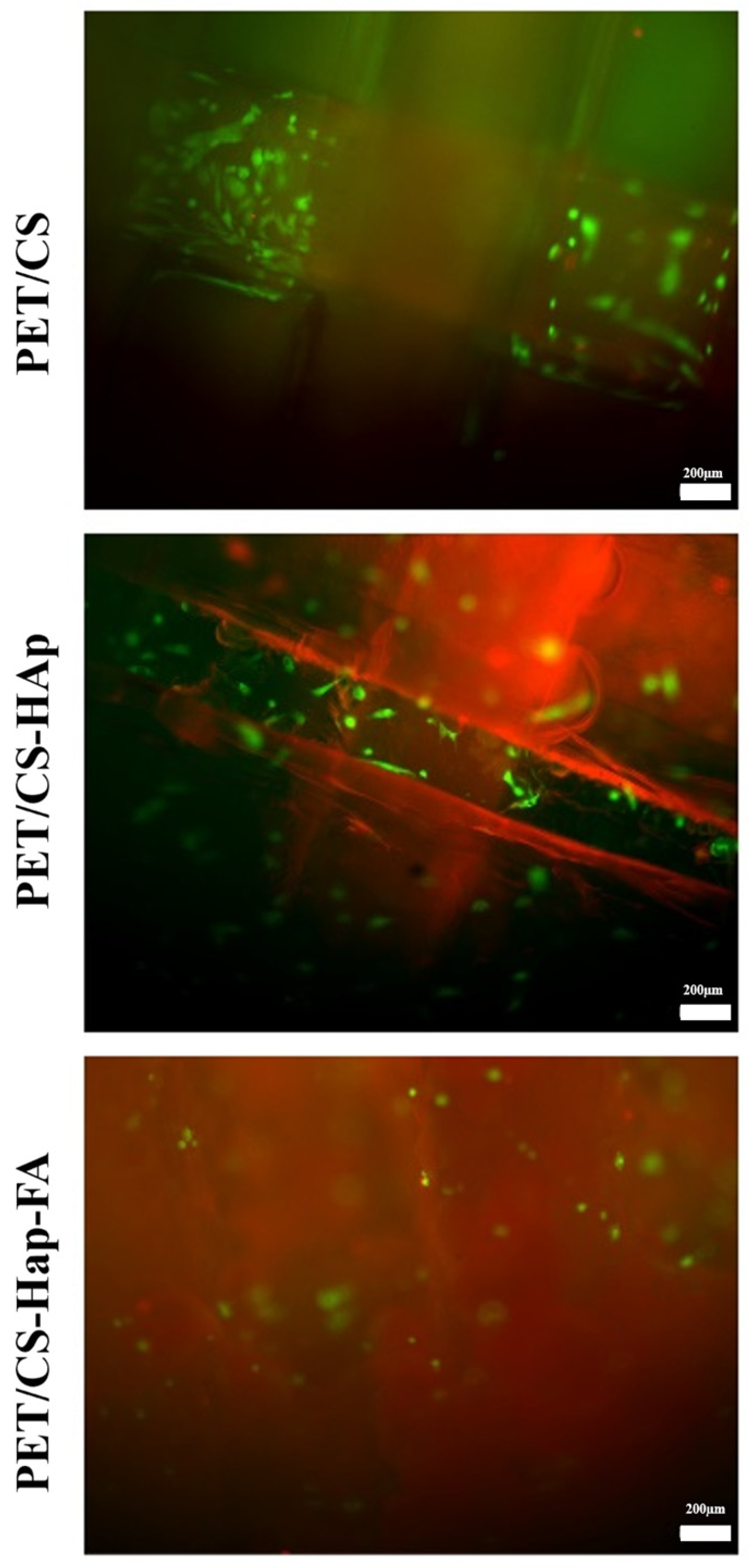 Materials 18 01206 g014 Materials 18 01206 g014
