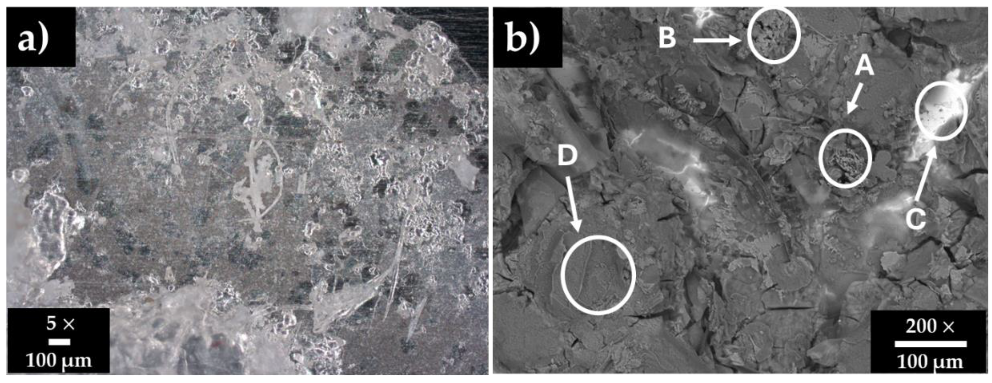 Materials 18 01216 g001