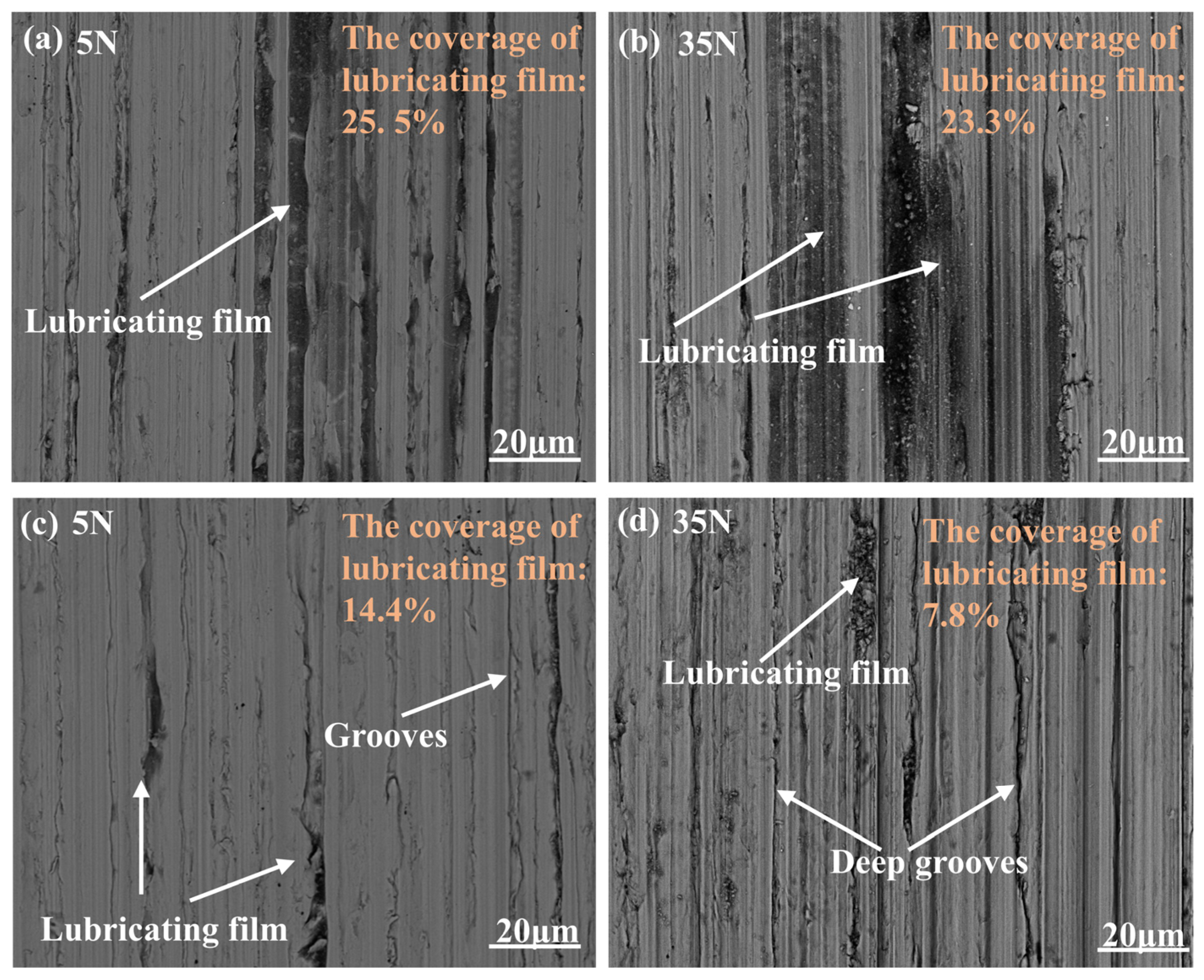 Materials 18 01221 g012