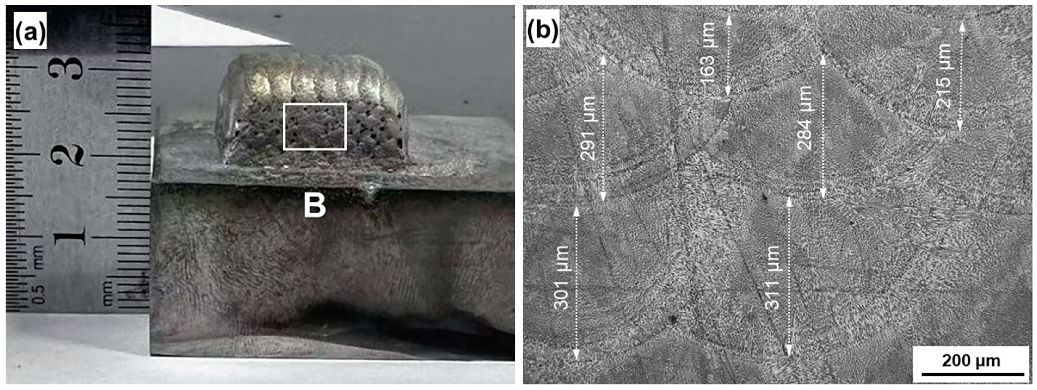 Materials 18 01223 g006