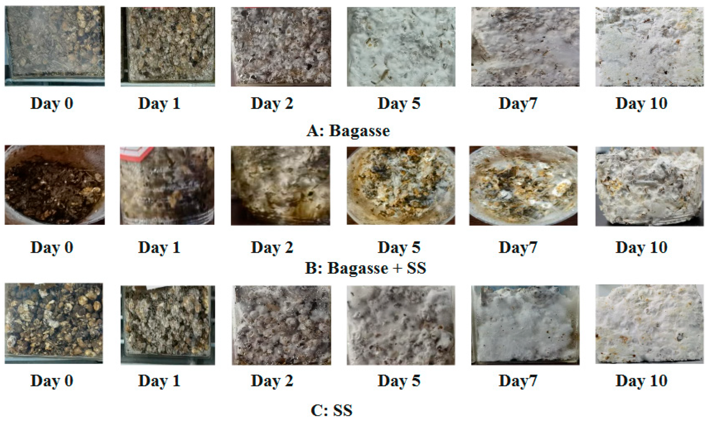 Materials 18 01225 g003