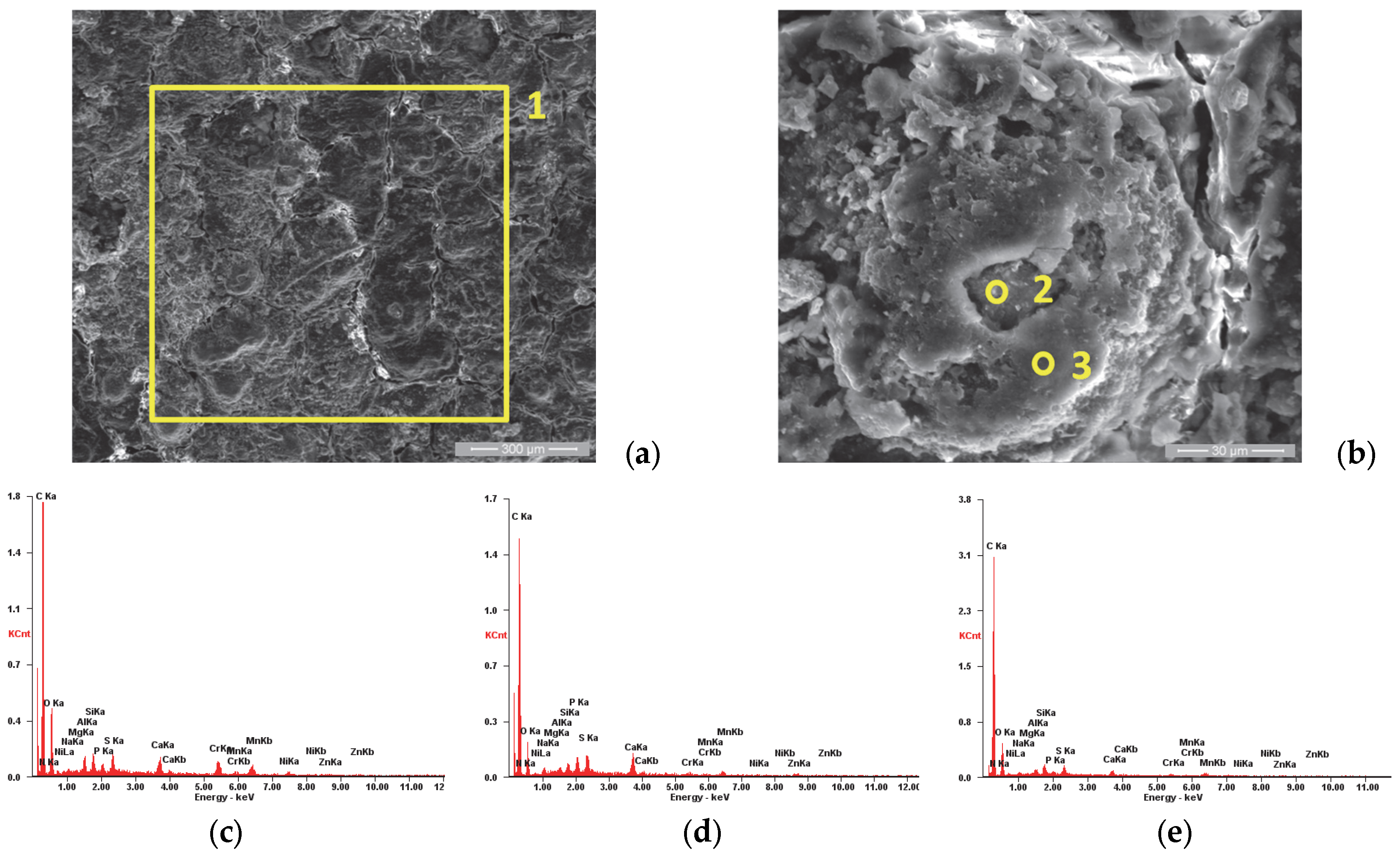 Materials 18 01227 g006 Materials 18 01227 g006