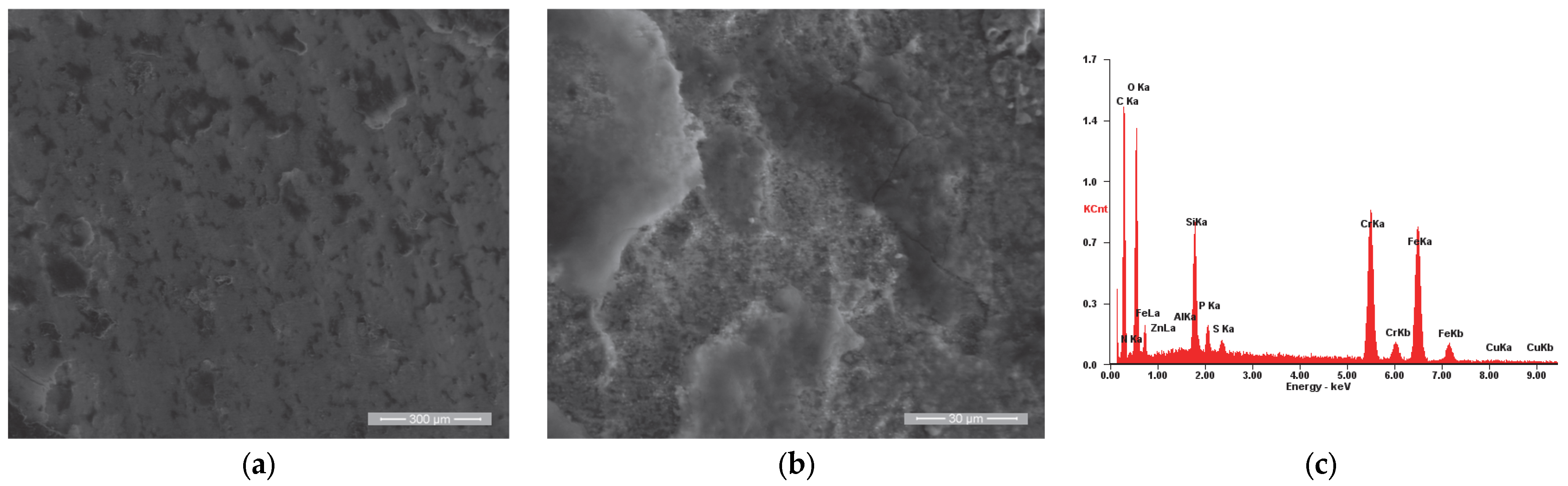 Materials 18 01227 g012 Materials 18 01227 g012