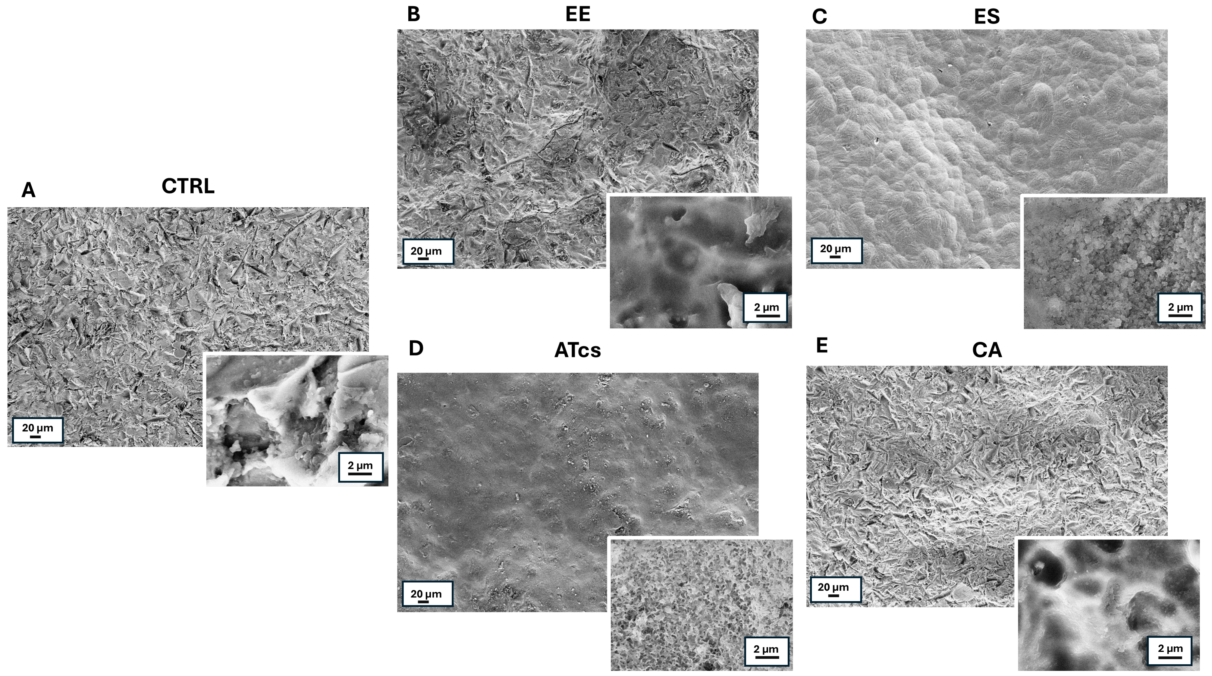 Materials 18 01234 g001