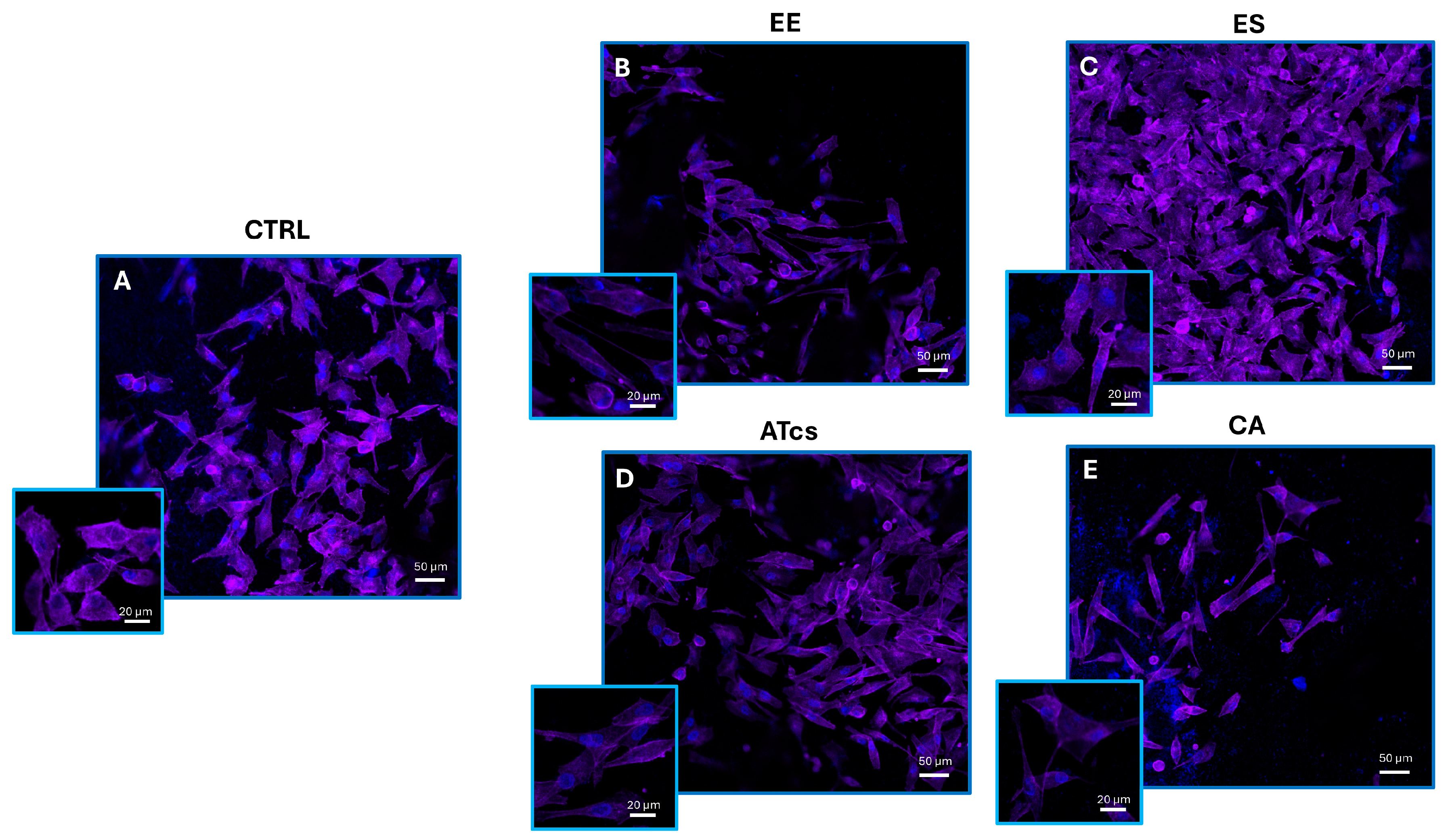 Materials 18 01234 g004
