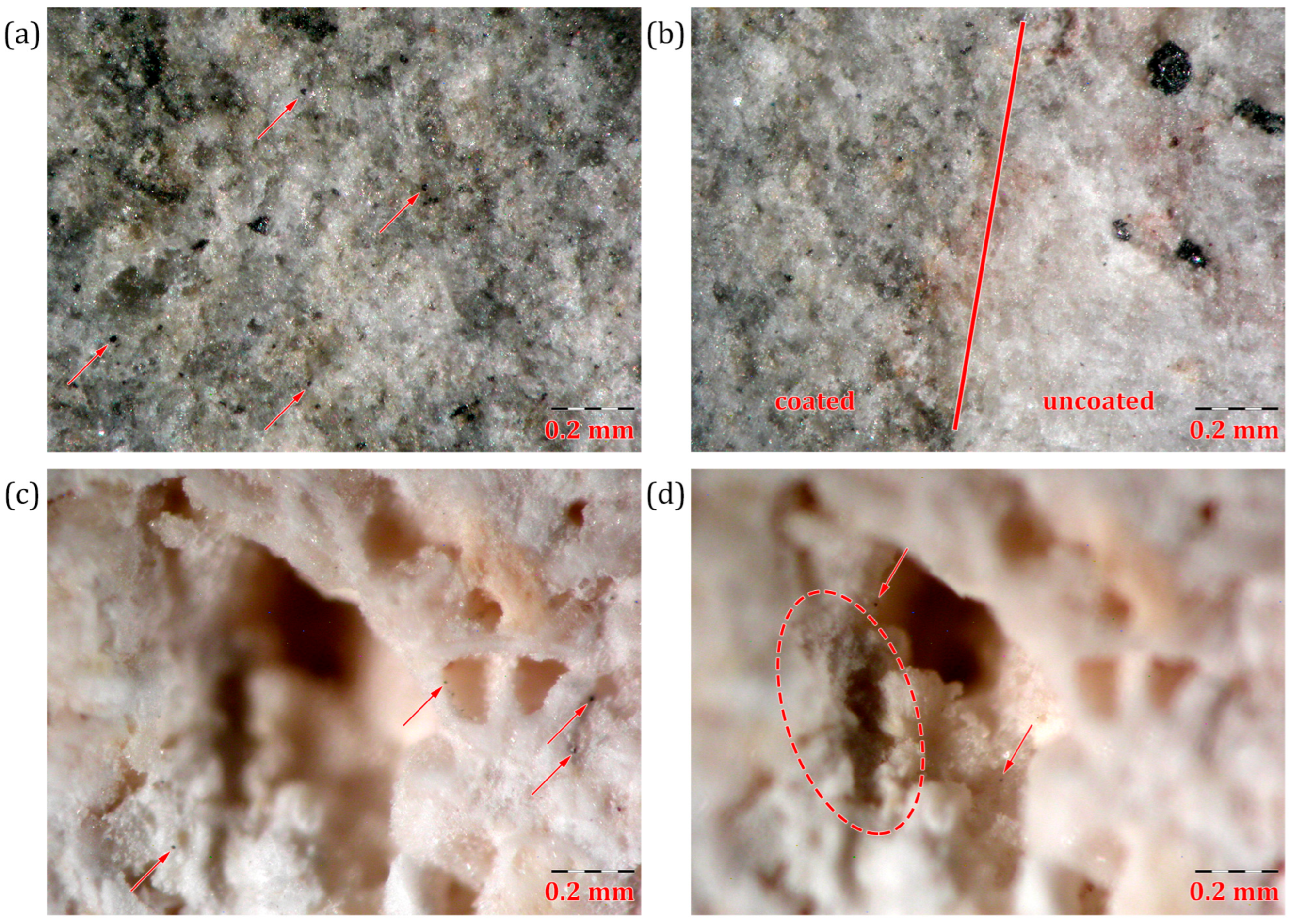 Materials 18 01243 g006