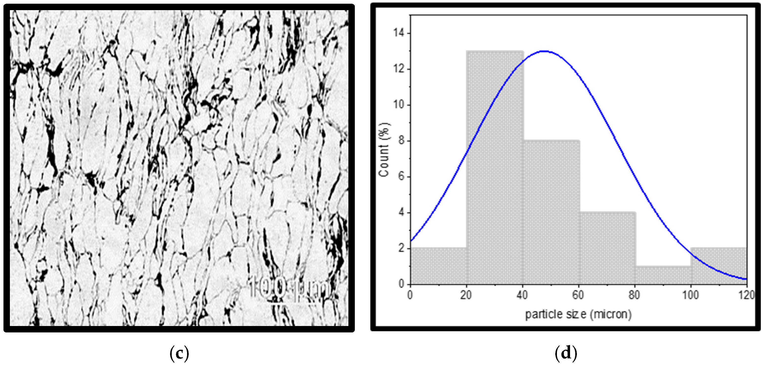 Materials 18 01246 g008b