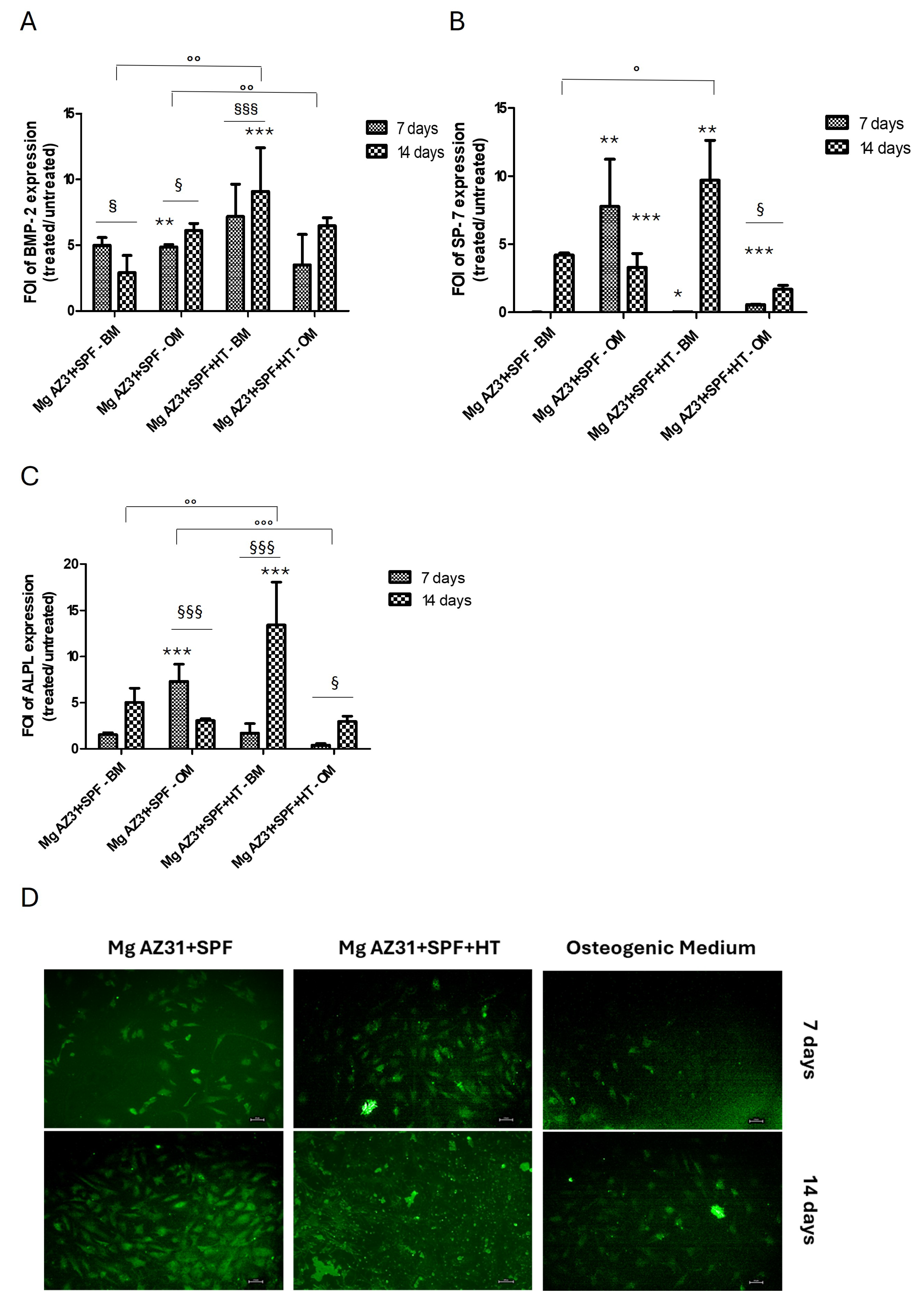 Materials 18 01254 g002