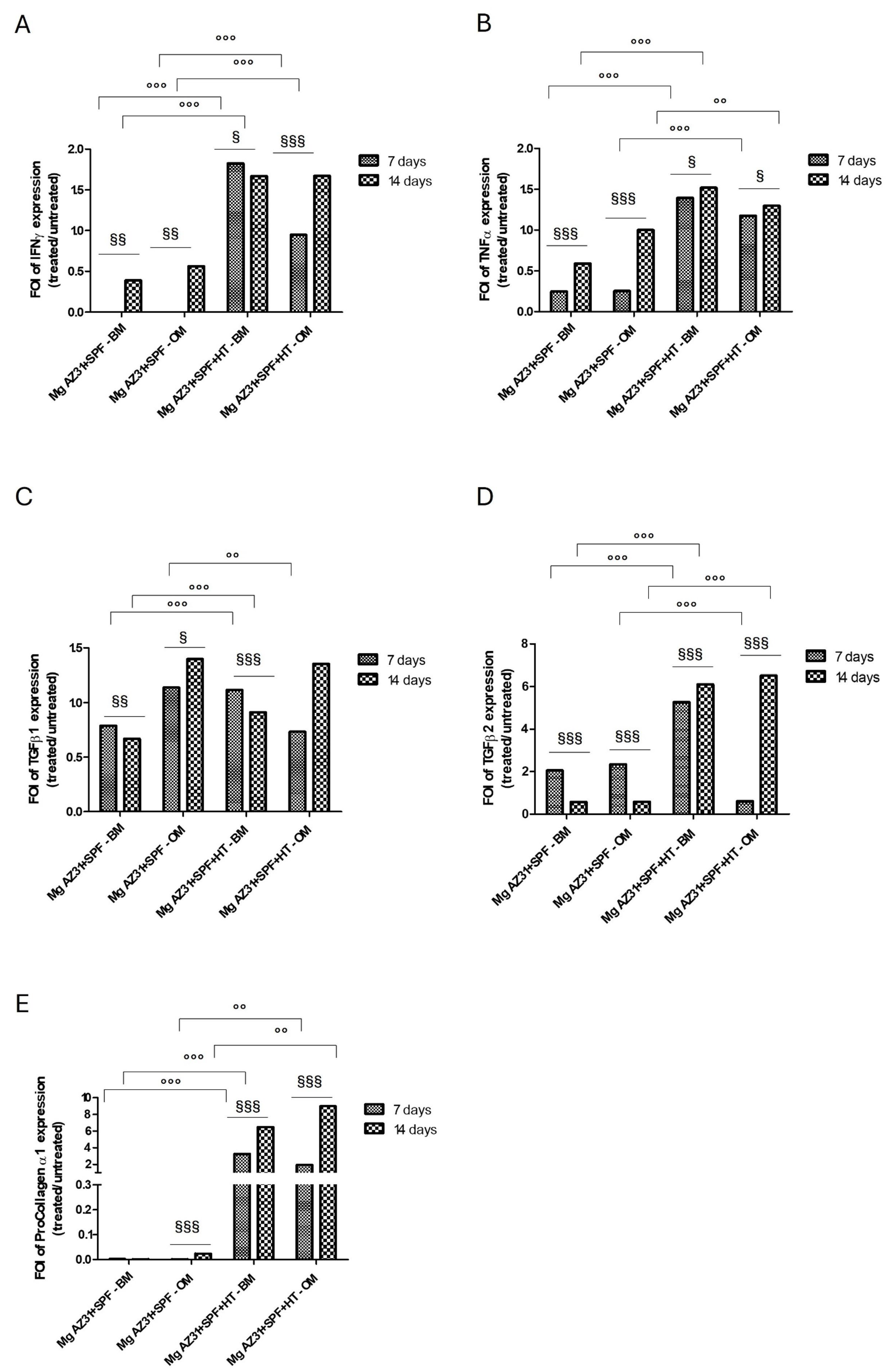 Materials 18 01254 g003
