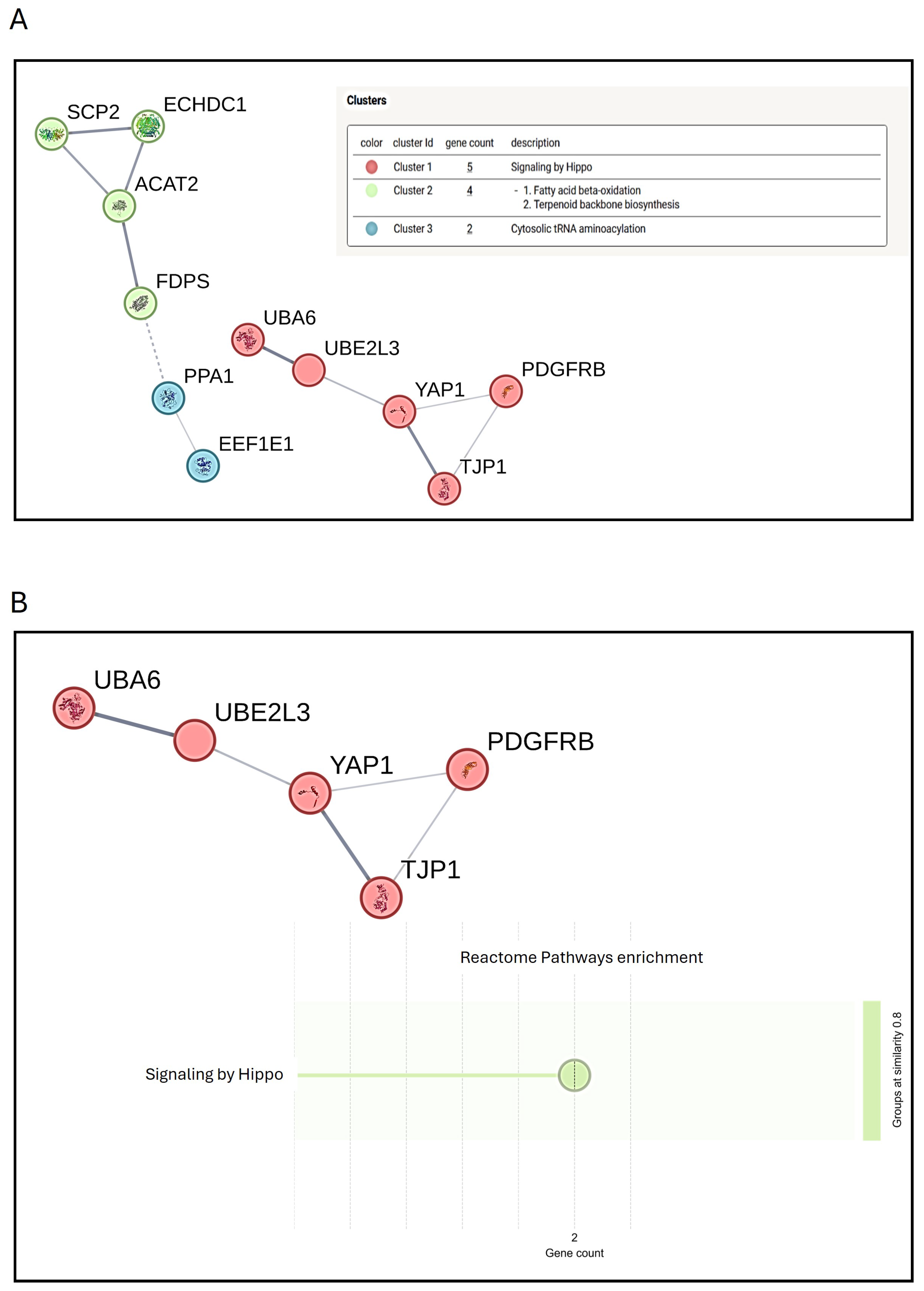 Materials 18 01254 g008