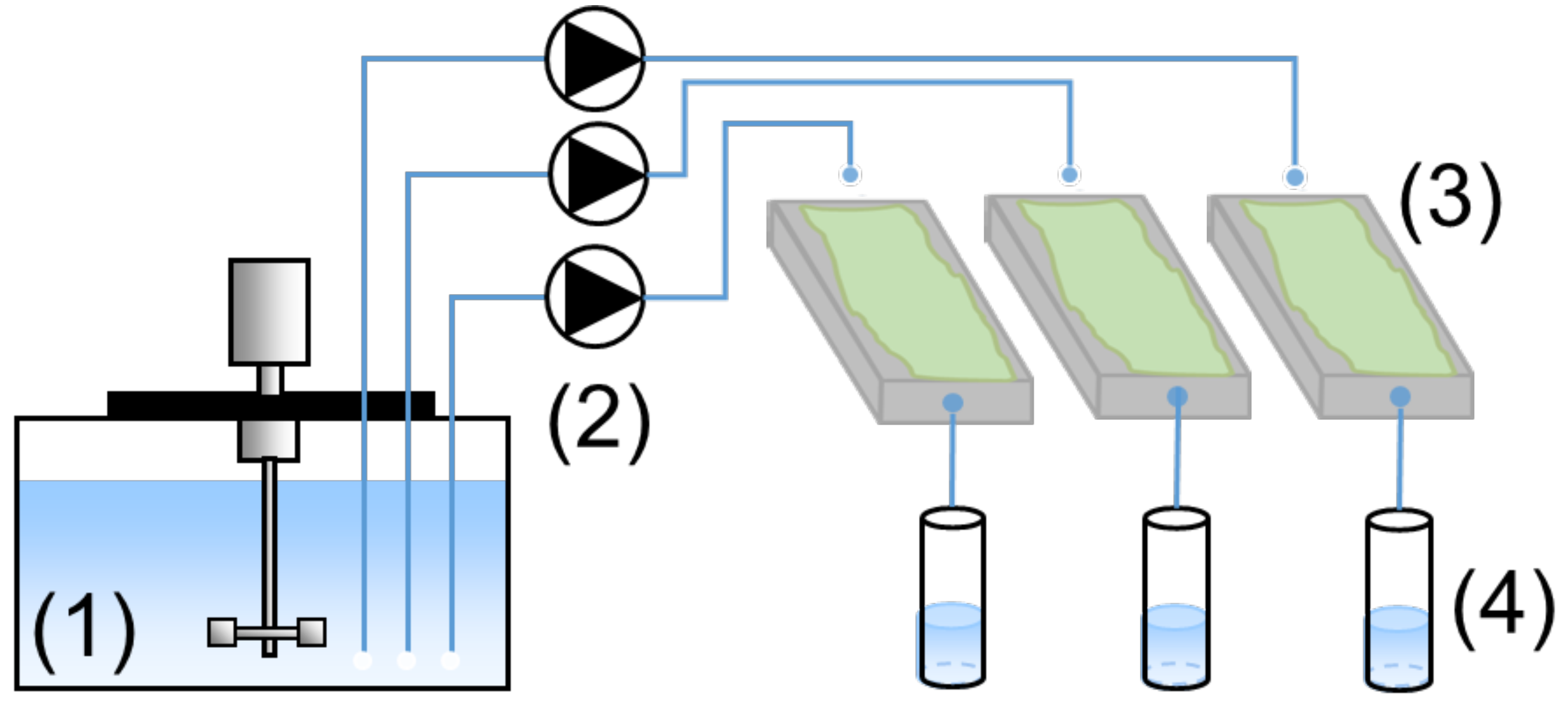 Materials 18 01256 g005 Materials 18 01256 g005