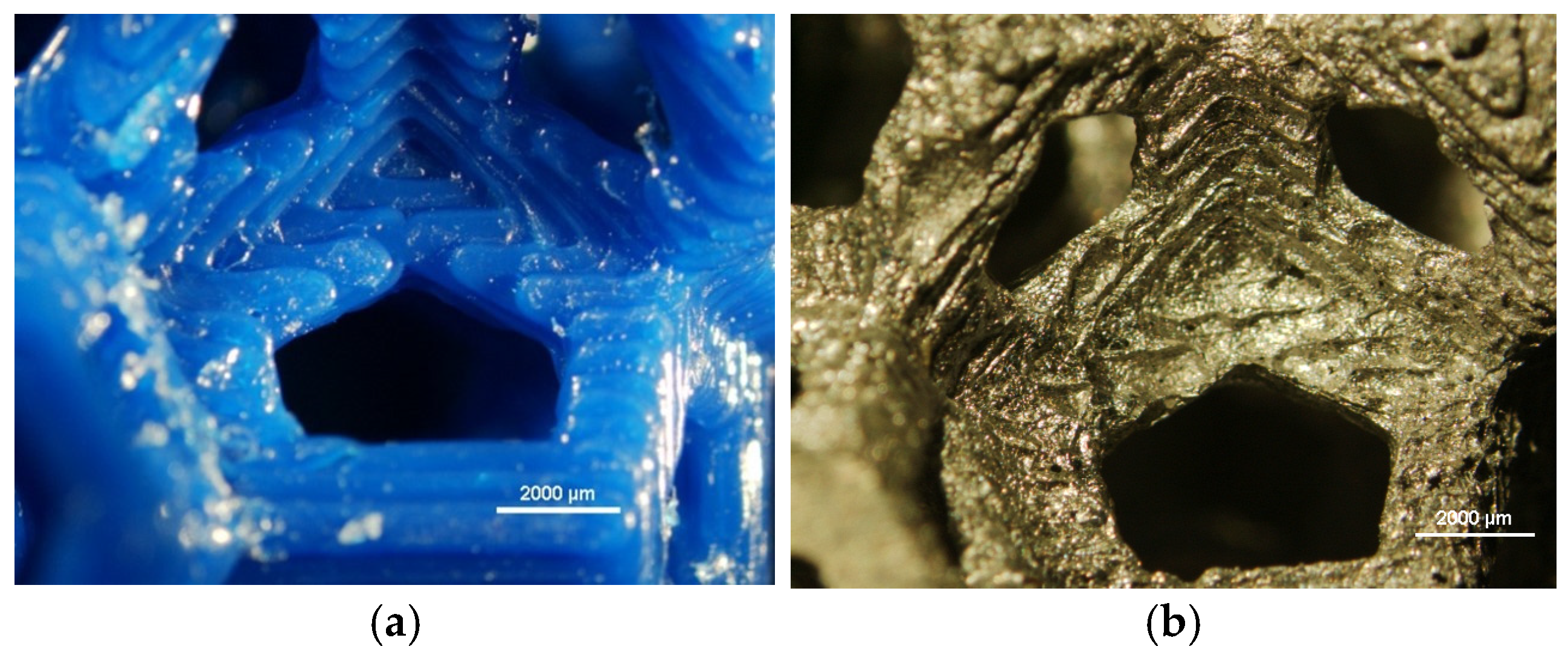 Materials 18 01261 g006