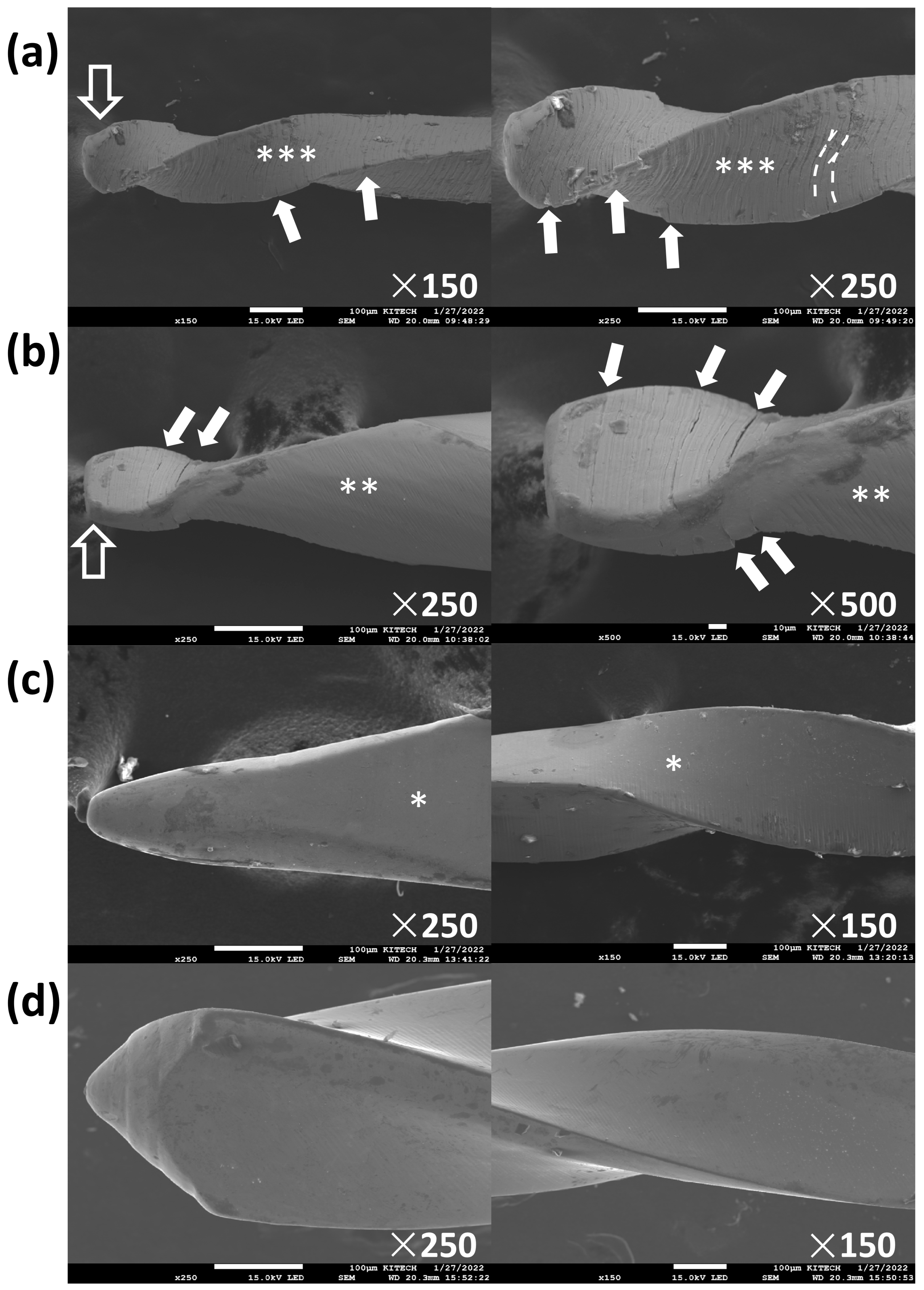 Materials 18 01265 g004