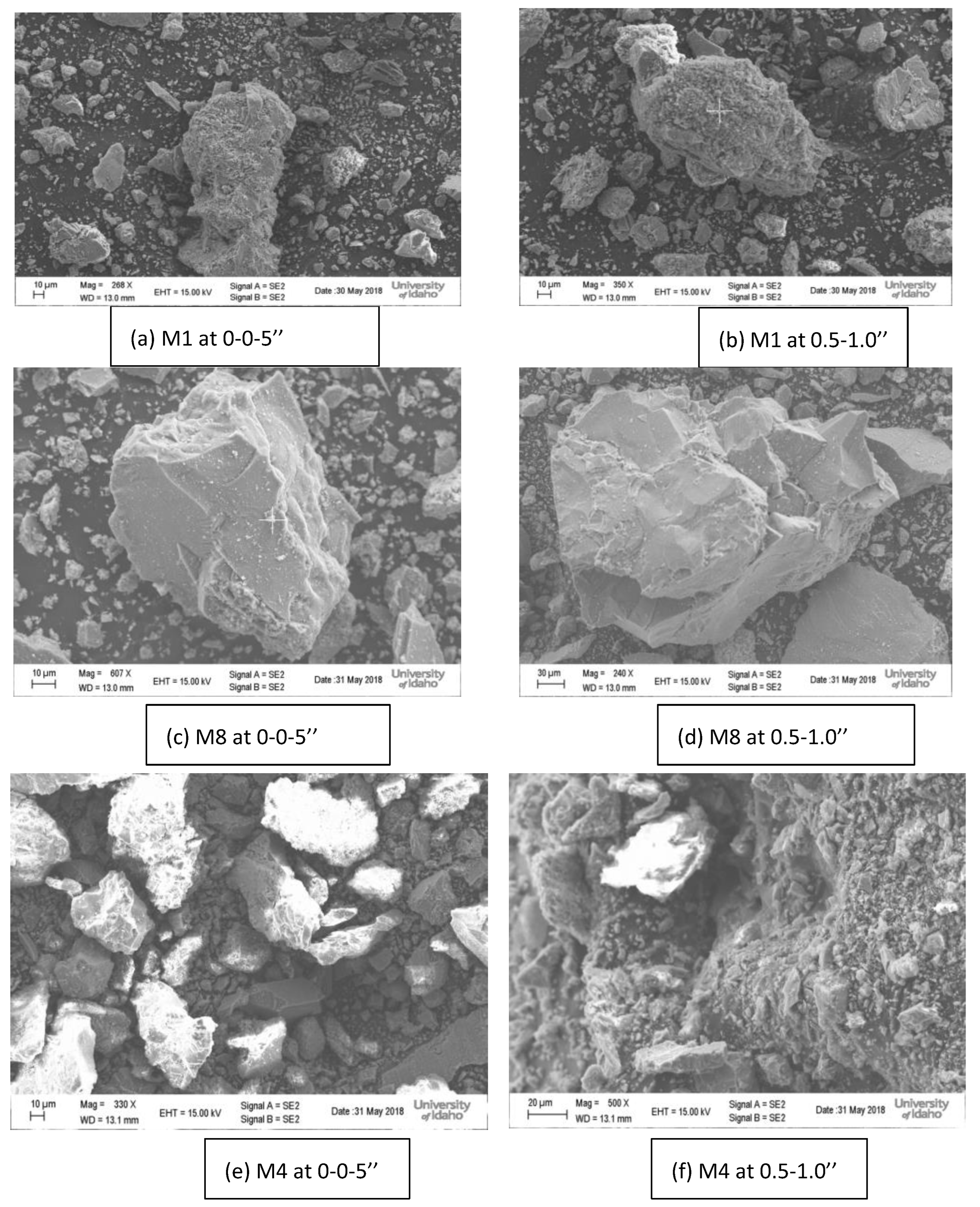 Materials 18 01266 g006