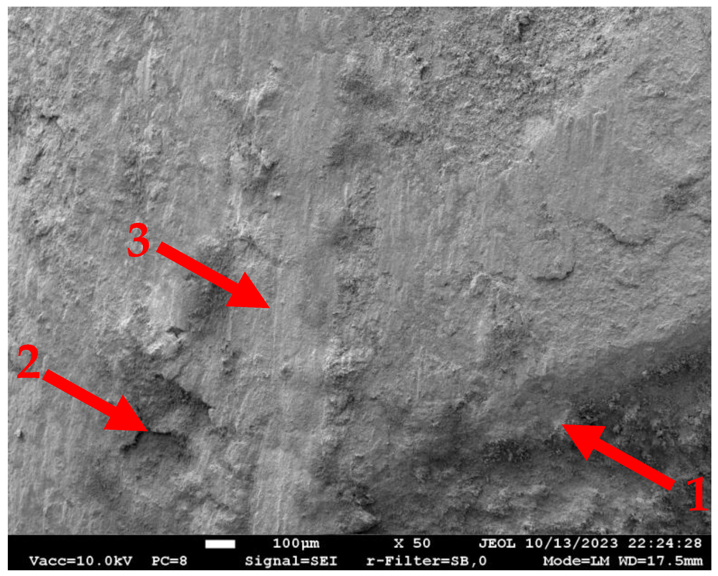 Materials 18 01282 g010