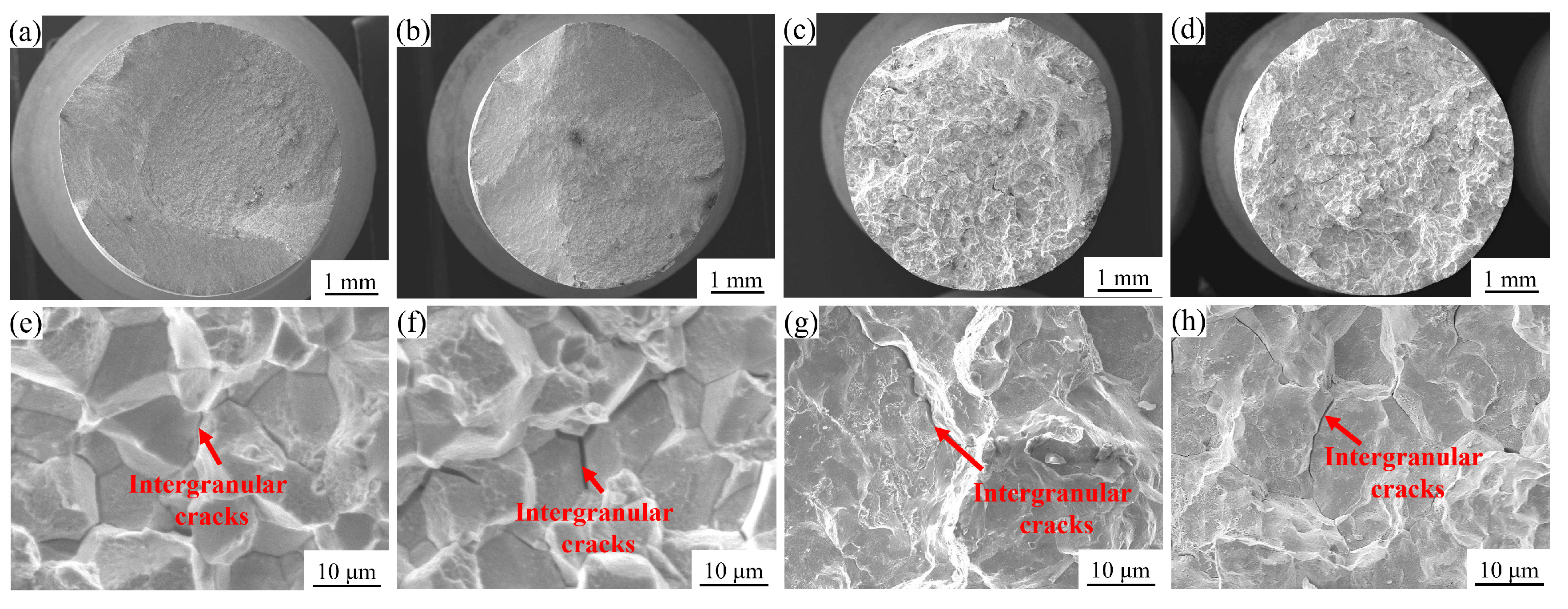 Materials 18 01288 g007