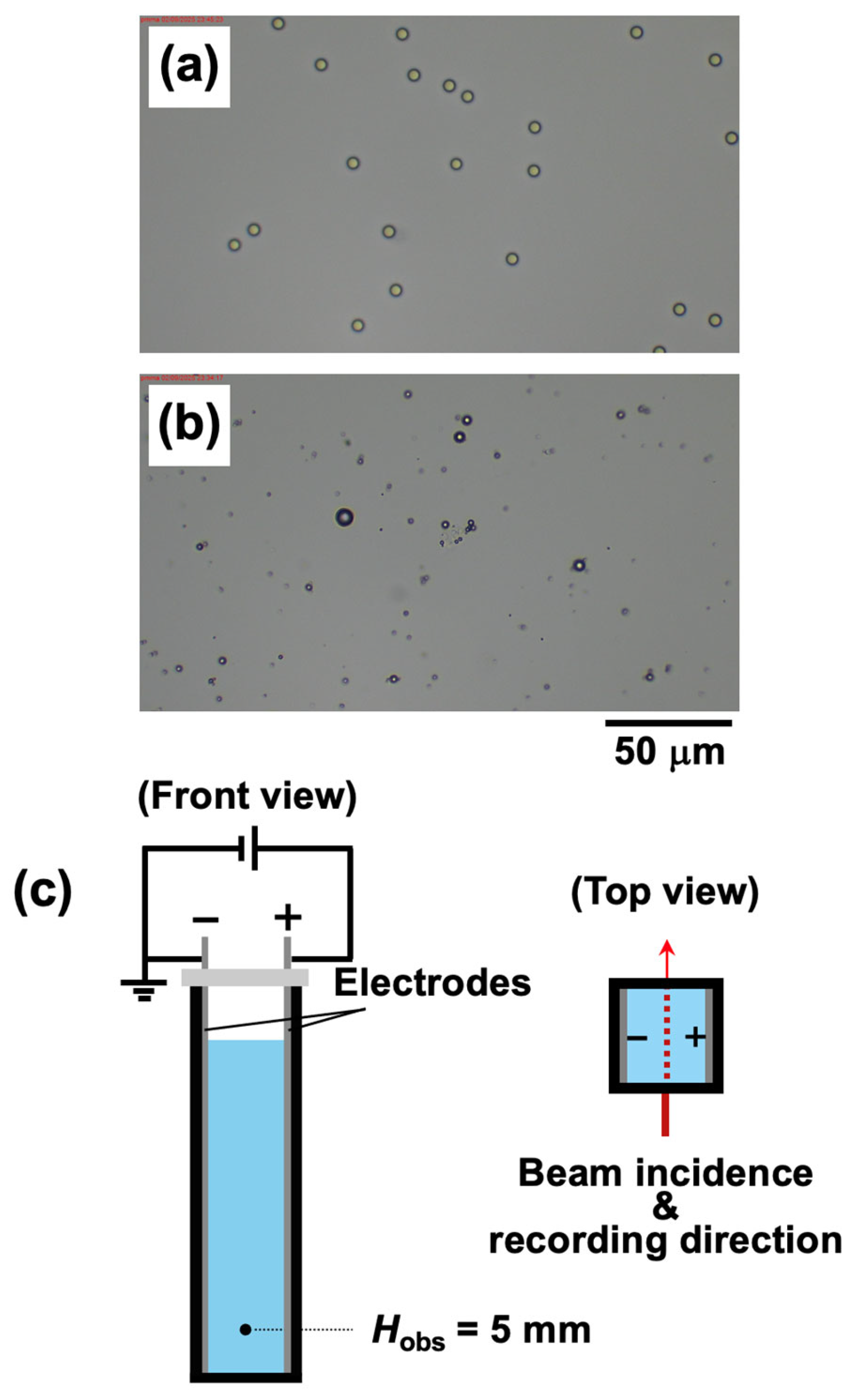 Materials 18 01289 g001