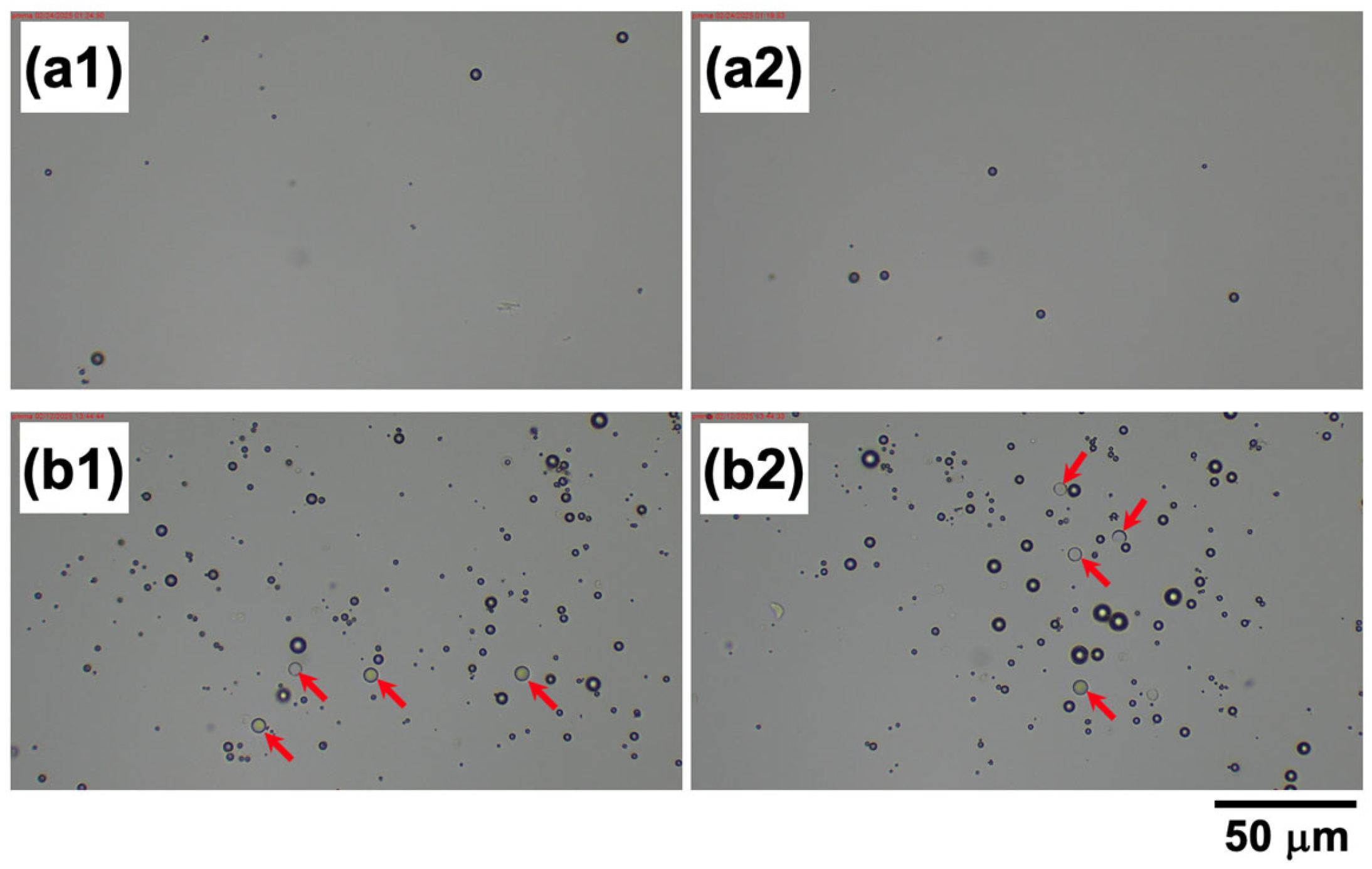 Materials 18 01289 g009